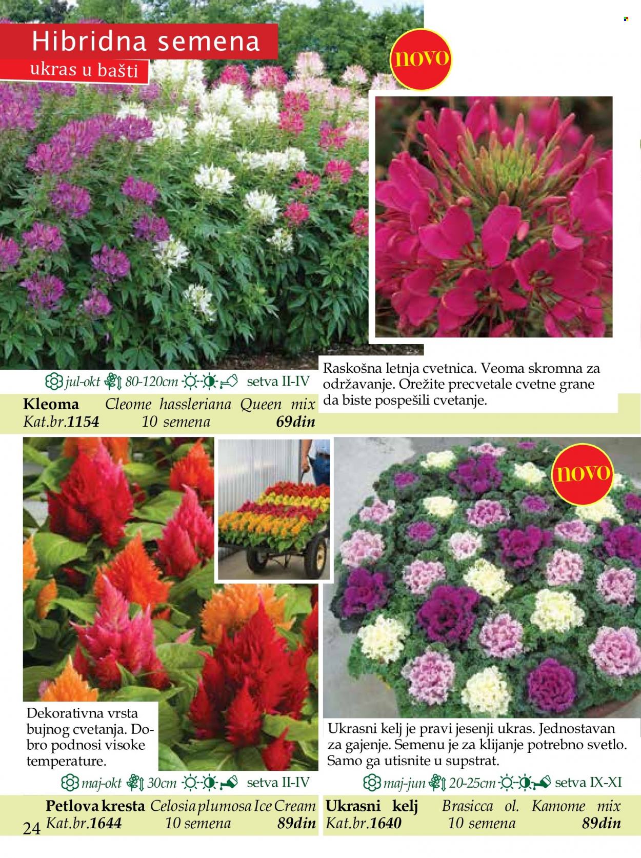 Flora Ekspres katalog. Stranica 24