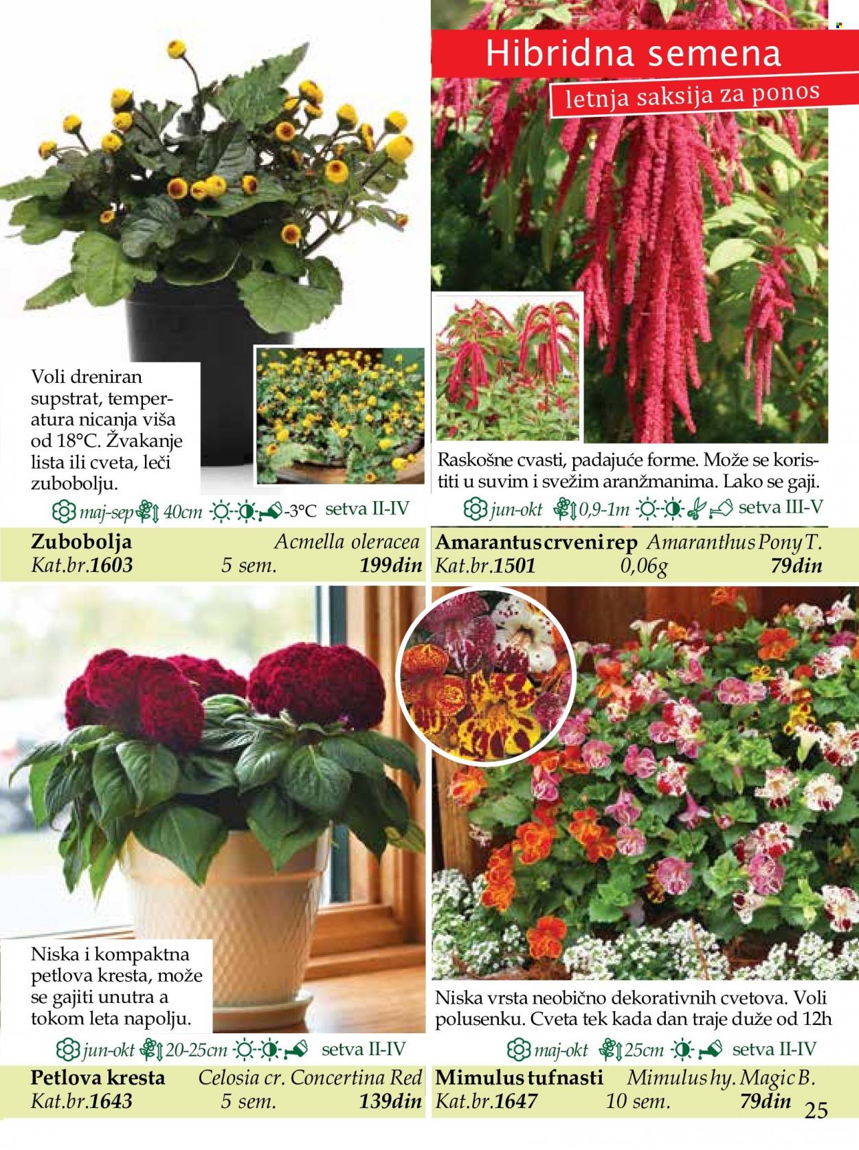 Flora Ekspres katalog. Stranica 25