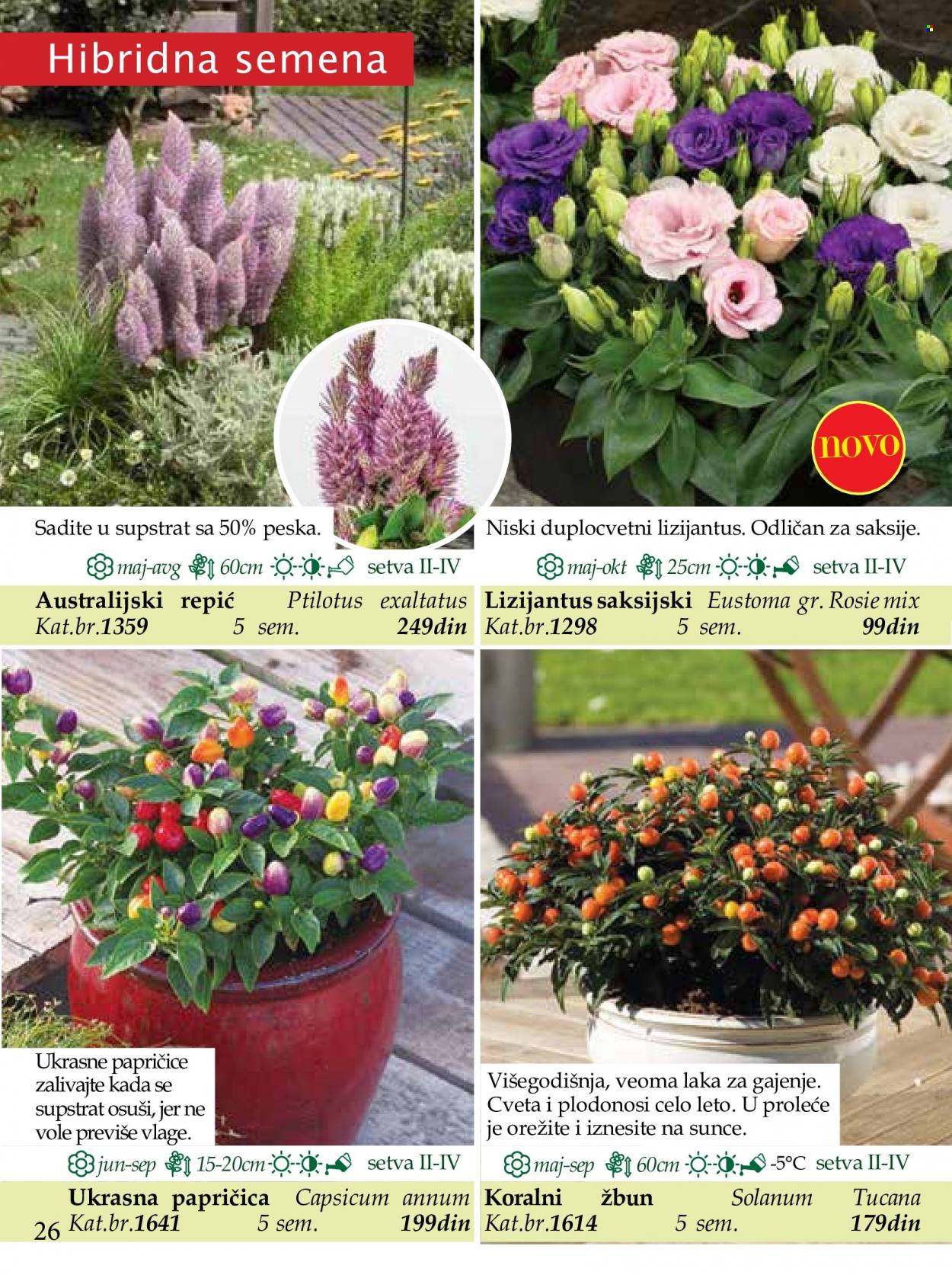 Flora Ekspres katalog. Stranica 26