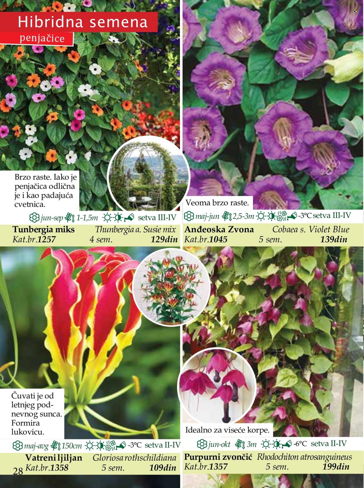 Flora Ekspres katalog. Stranica 28