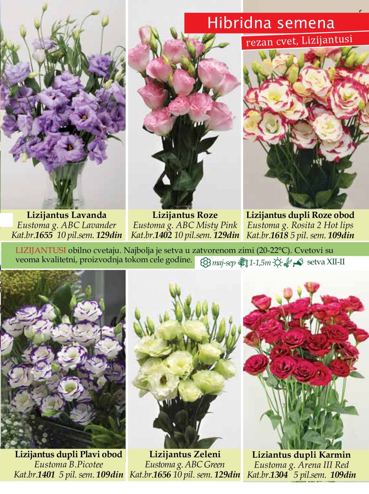 Flora Ekspres katalog. Stranica 31