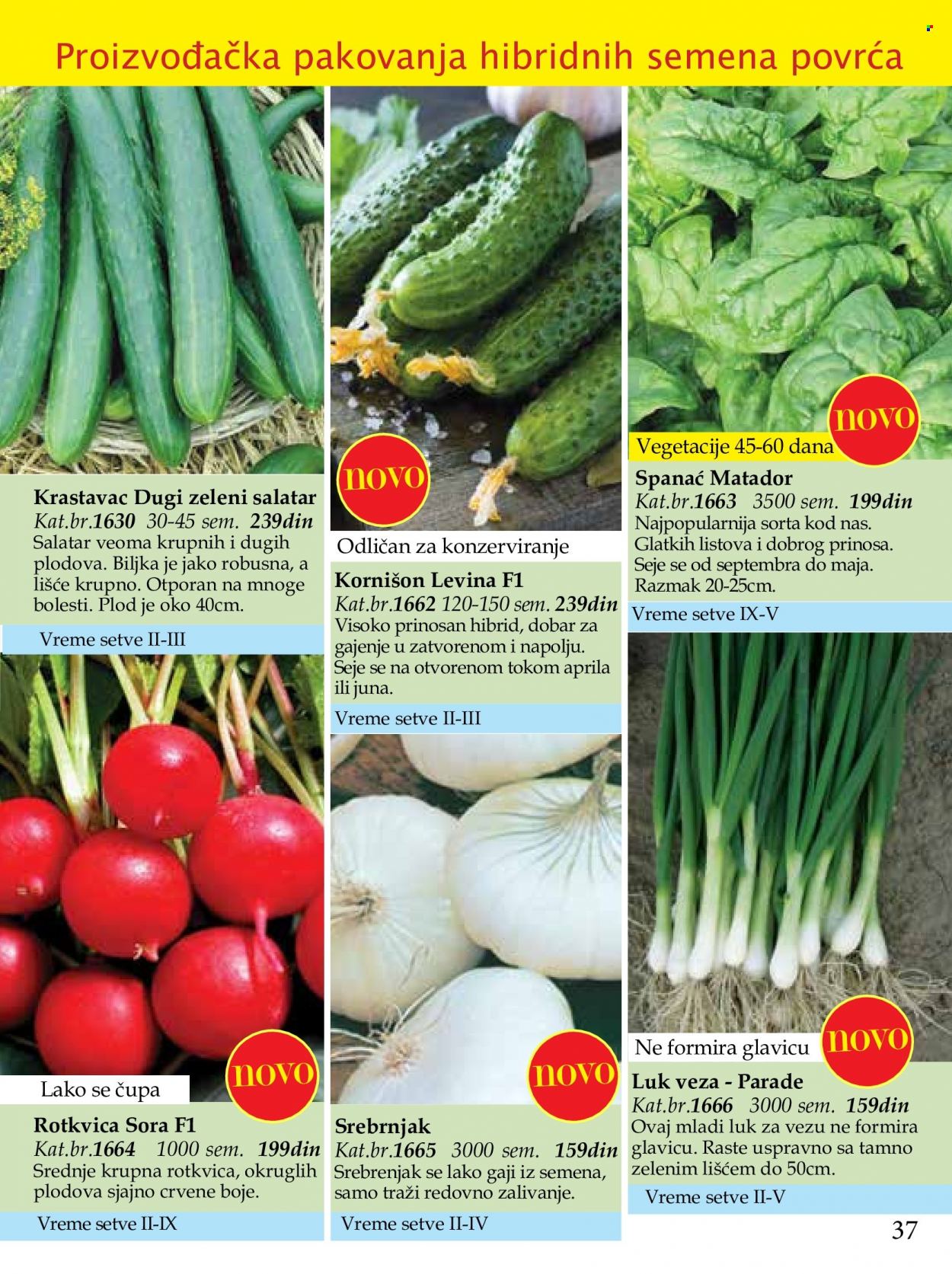 Flora Ekspres katalog. Stranica 37