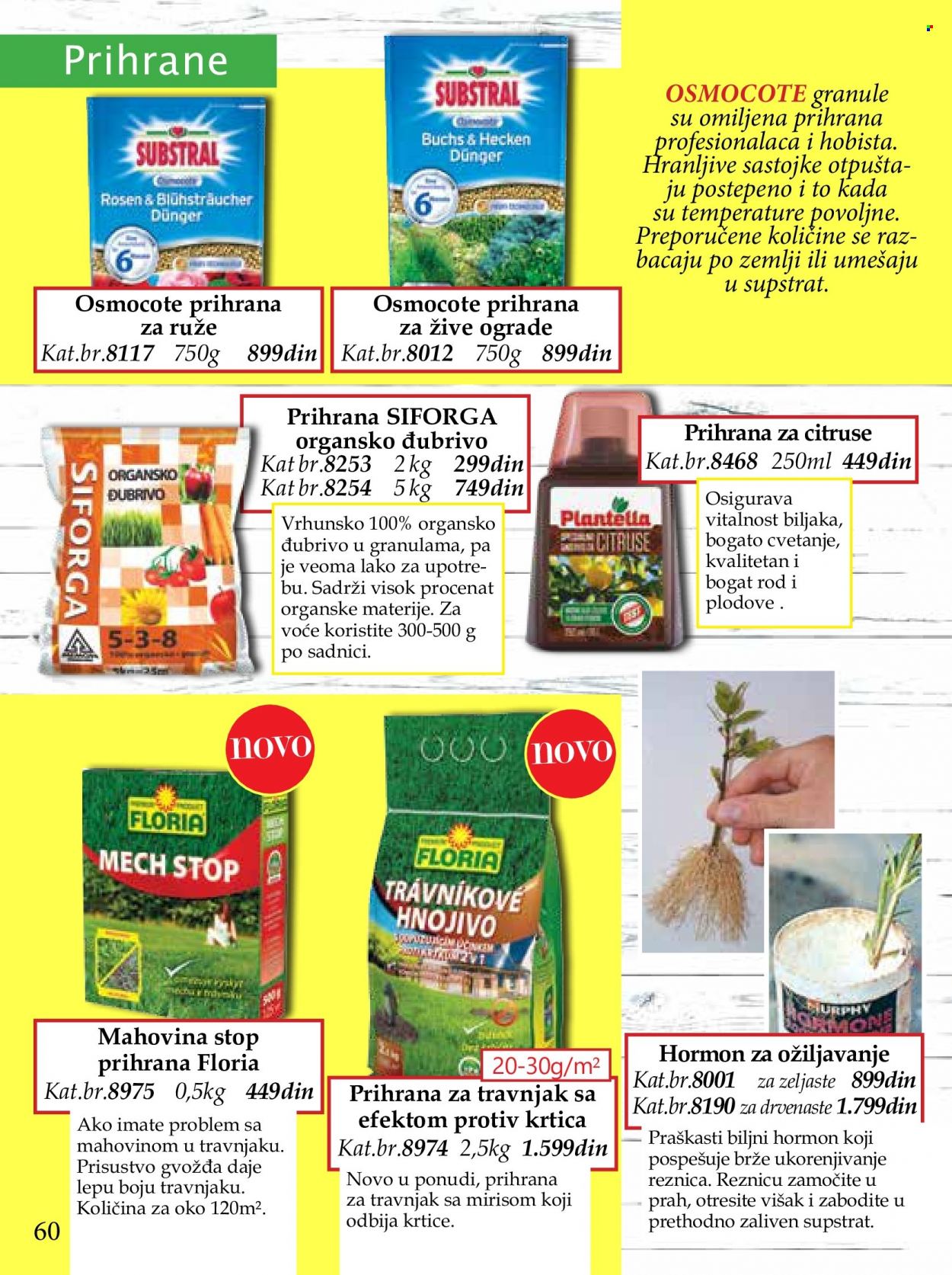 Flora Ekspres katalog. Stranica 60