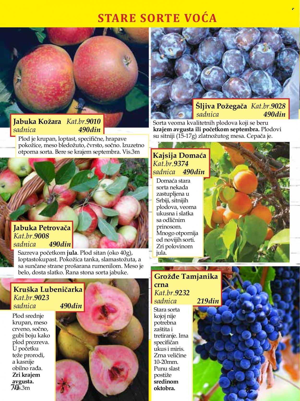 Flora Ekspres katalog. Stranica 70