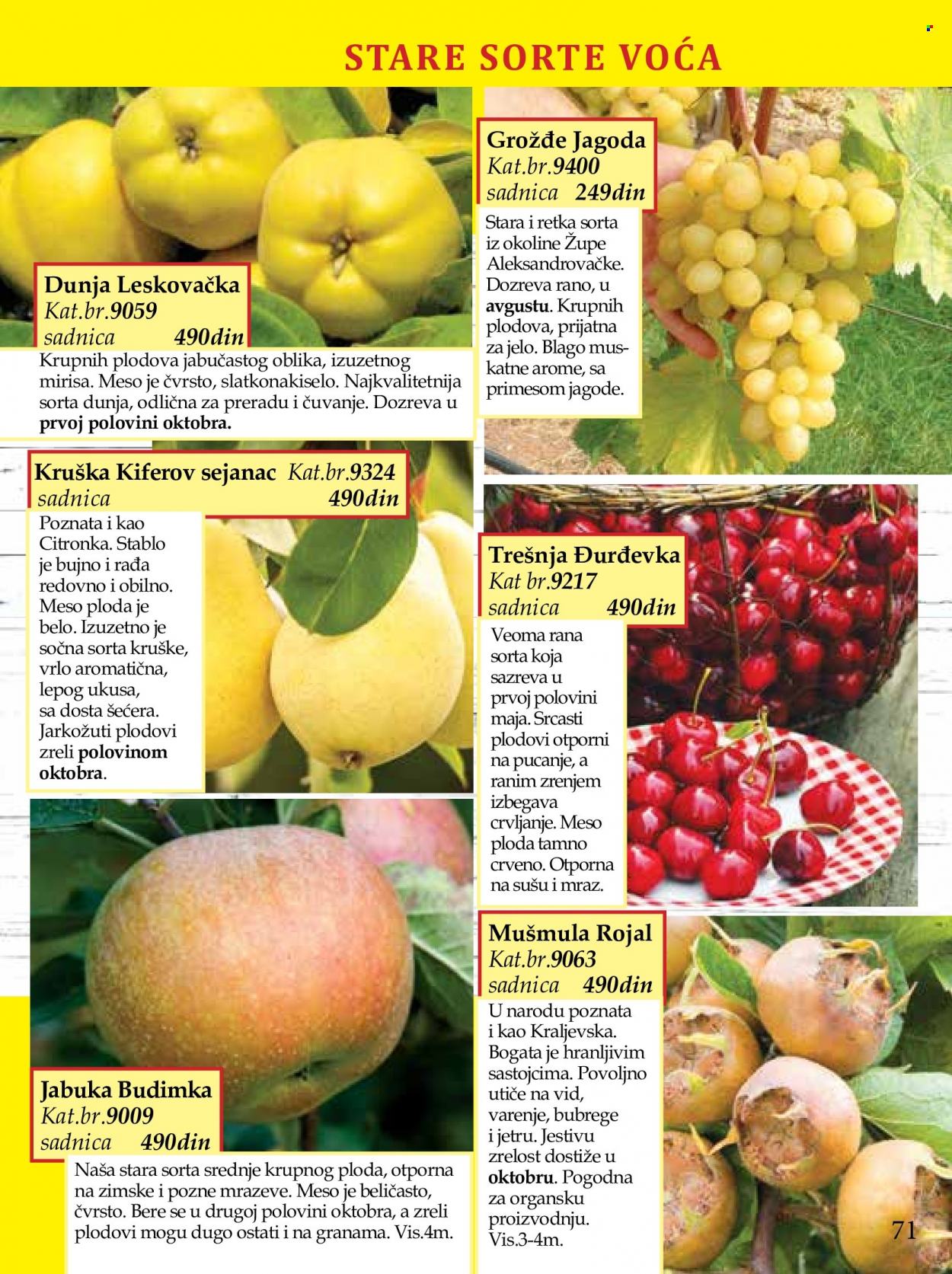 Flora Ekspres katalog. Stranica 71