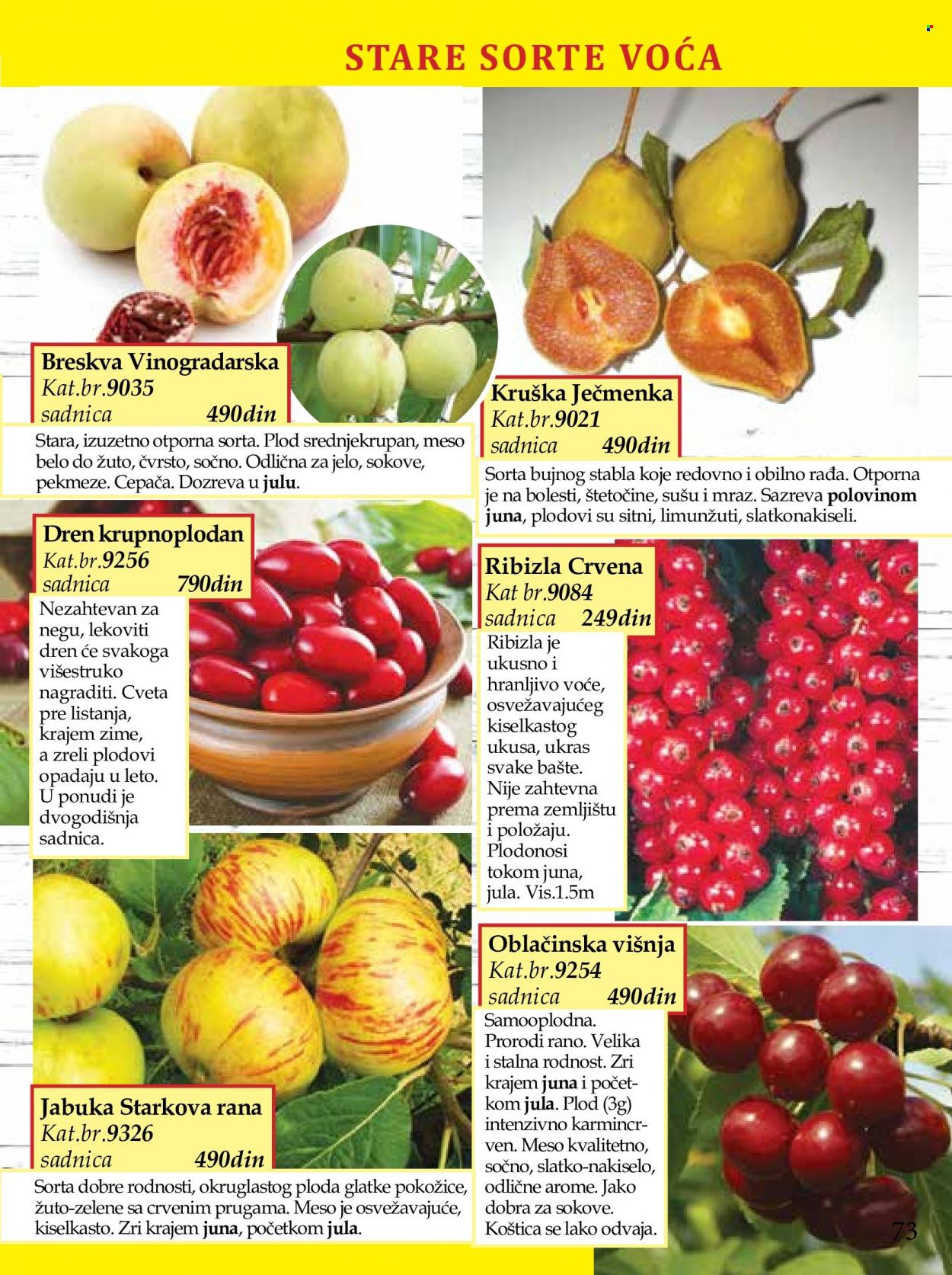 Flora Ekspres katalog. Stranica 73