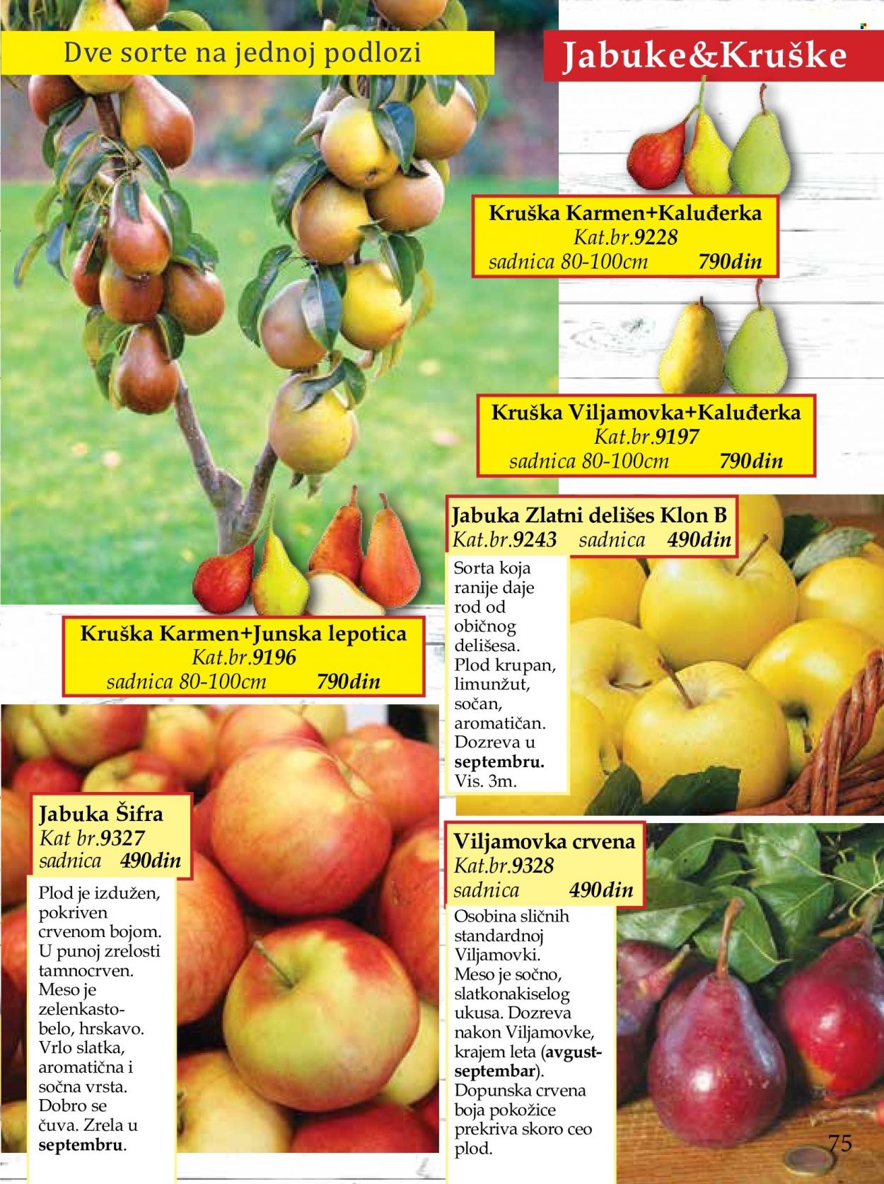 Flora Ekspres katalog. Stranica 75