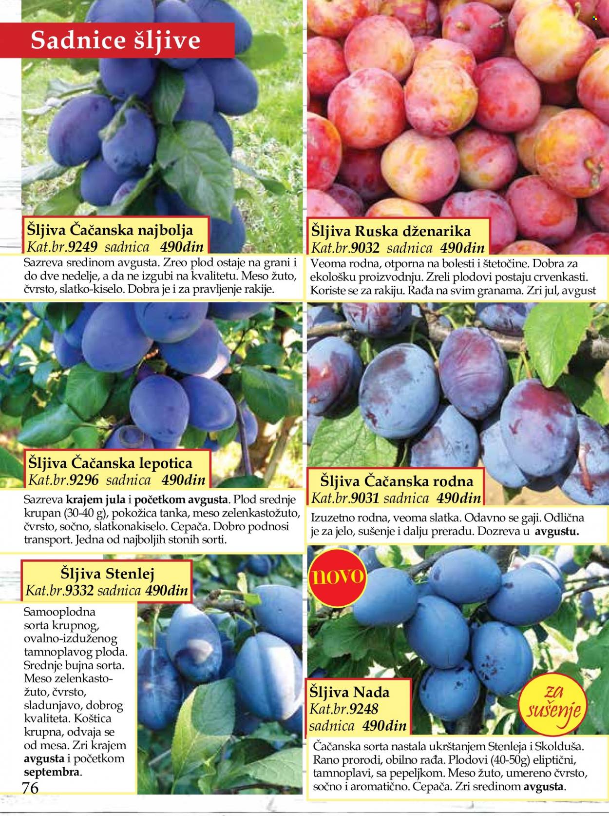 Flora Ekspres katalog. Stranica 76