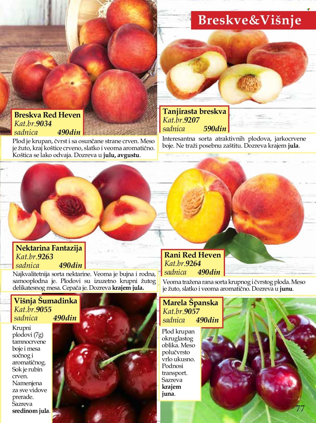 Flora Ekspres katalog. Stranica 77