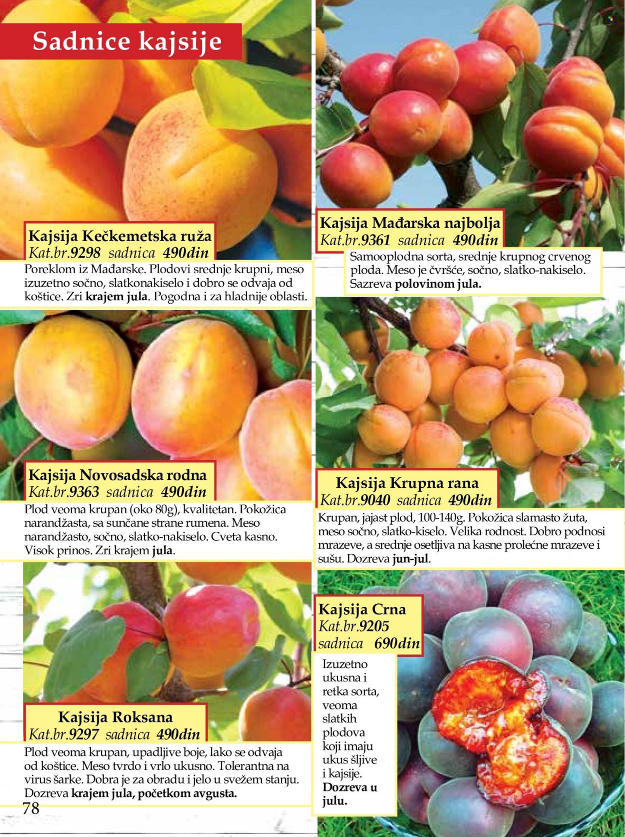 Flora Ekspres katalog. Stranica 78