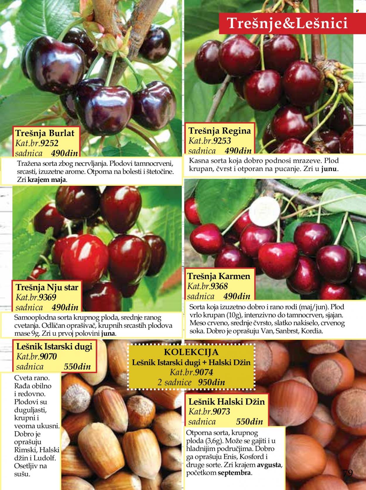 Flora Ekspres katalog. Stranica 79