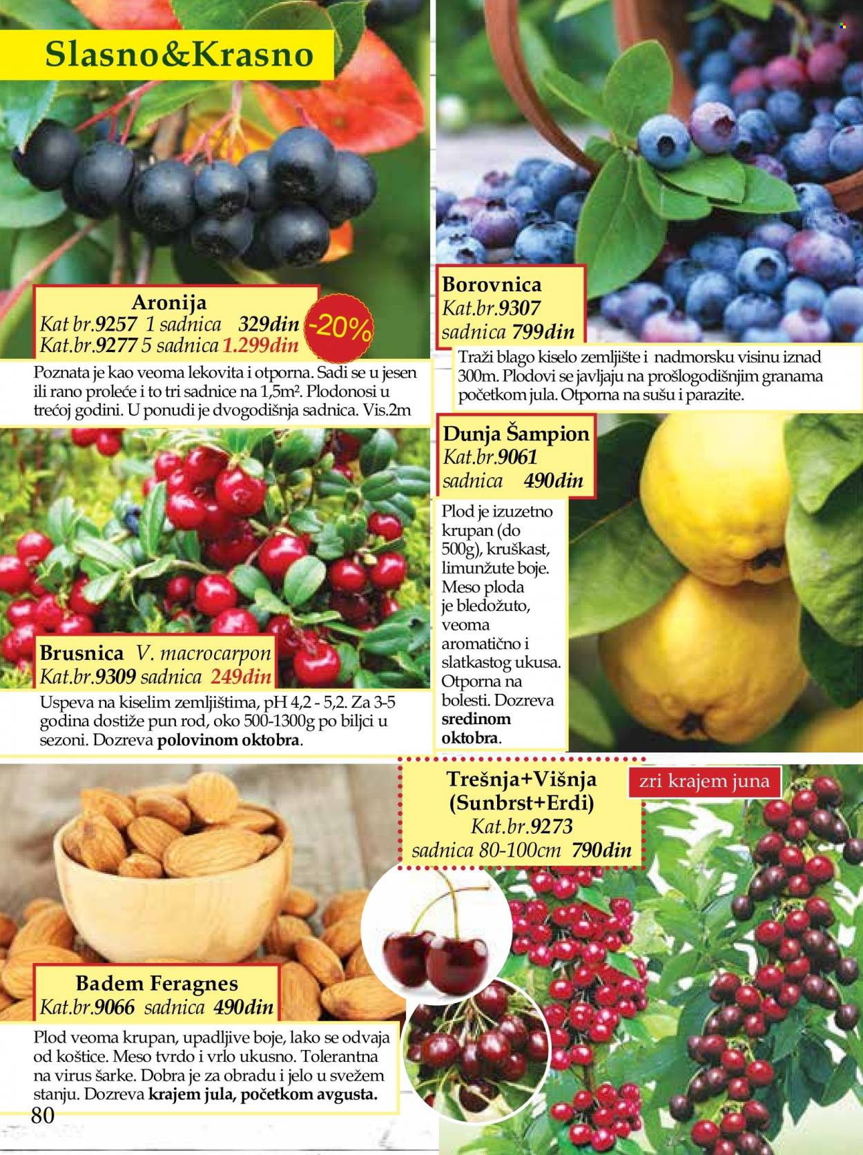 Flora Ekspres katalog. Stranica 80