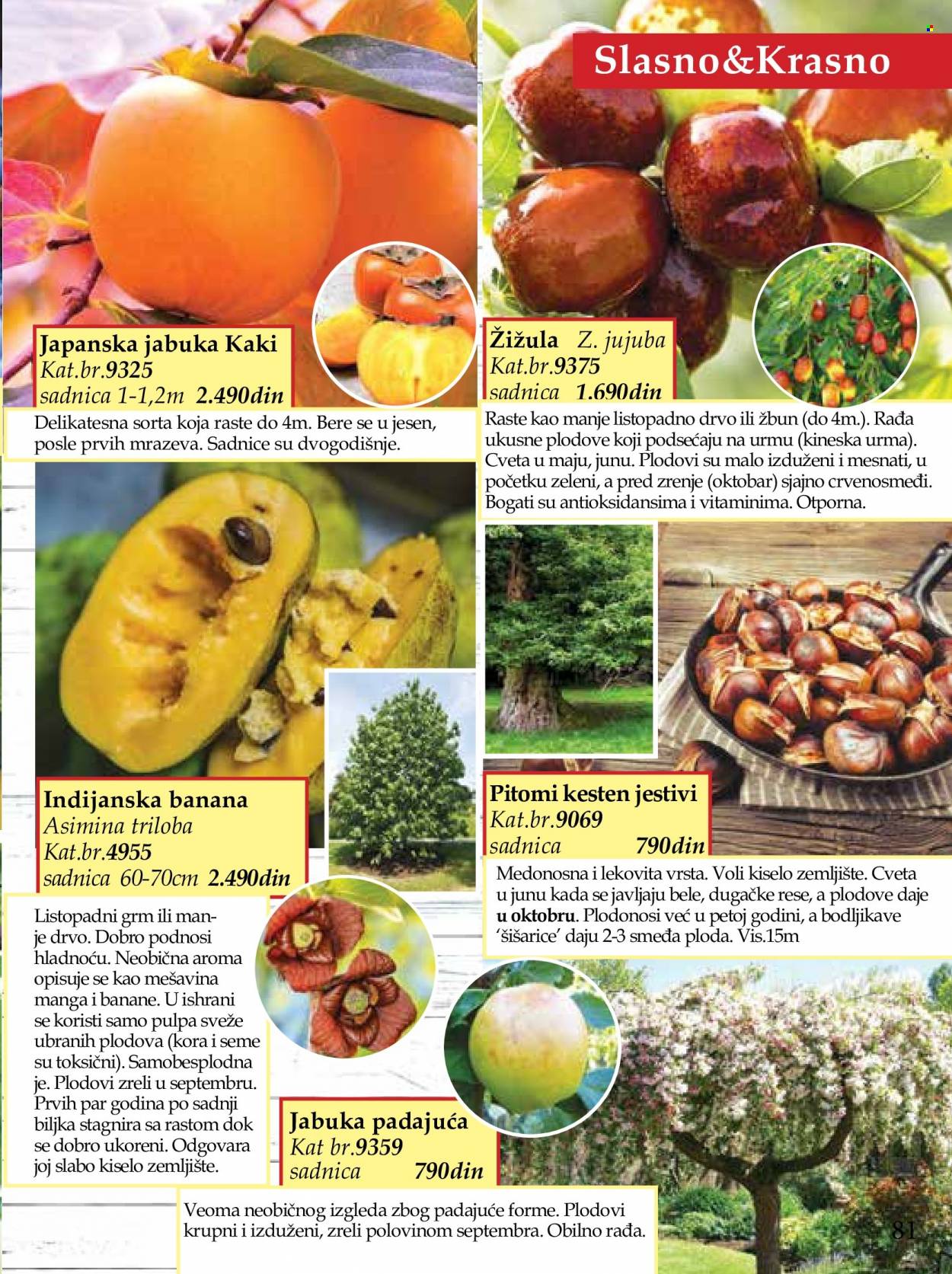 Flora Ekspres katalog. Stranica 81