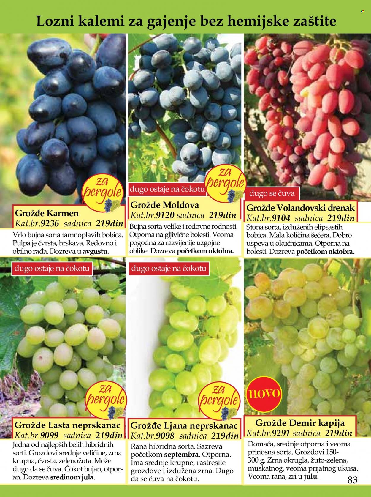 Flora Ekspres katalog. Stranica 83
