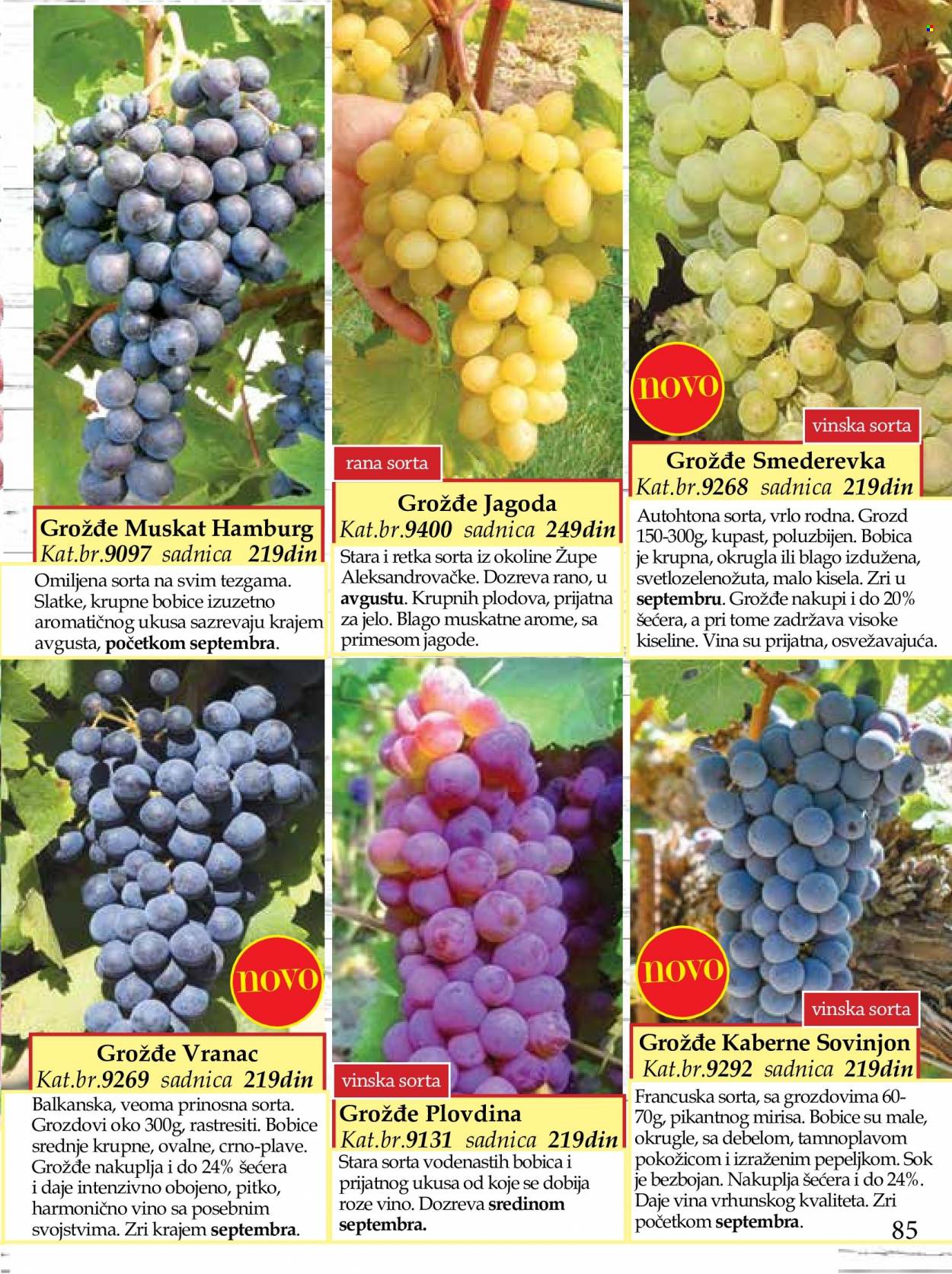 Flora Ekspres katalog. Stranica 85