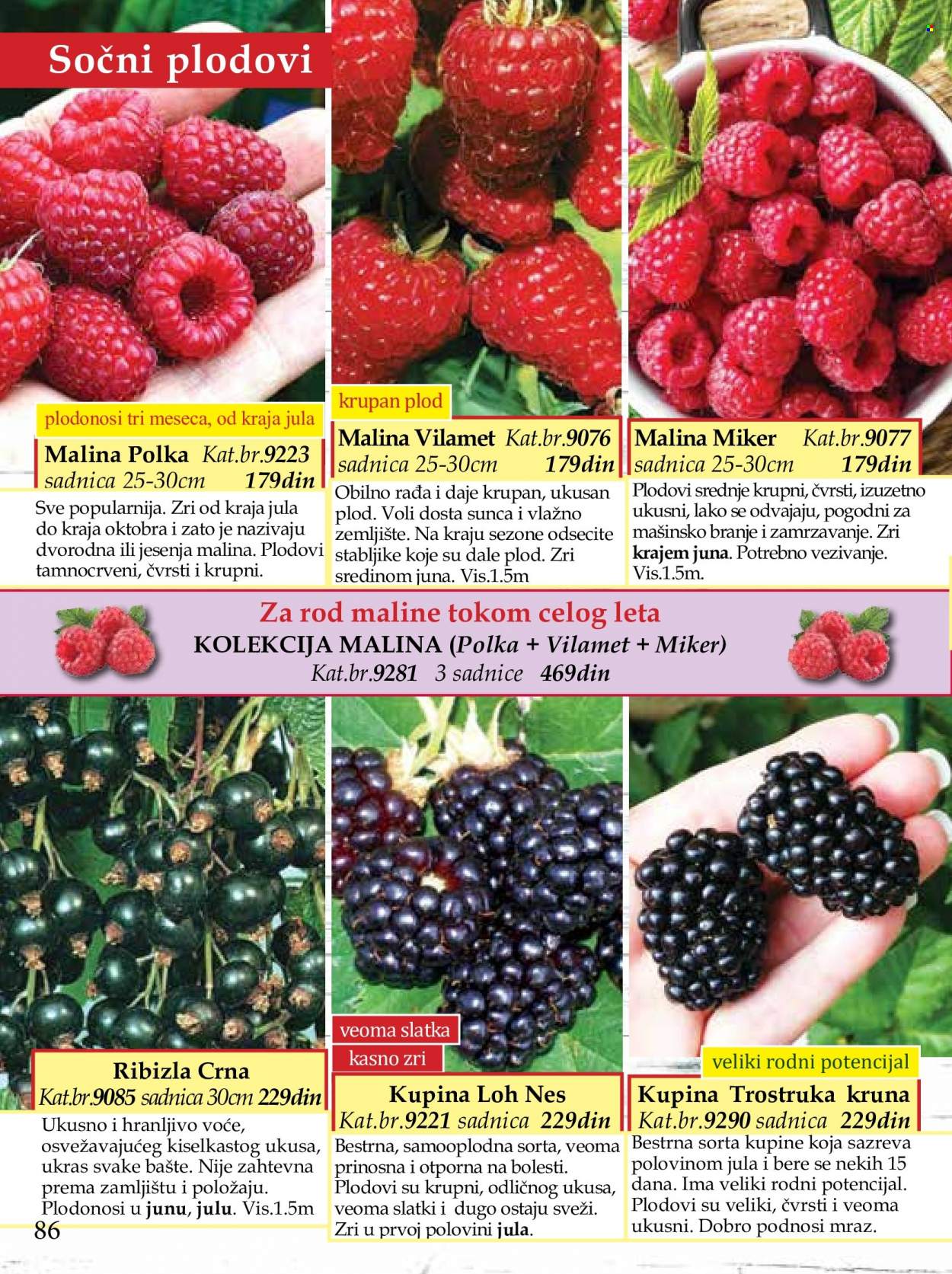 Flora Ekspres katalog. Stranica 86