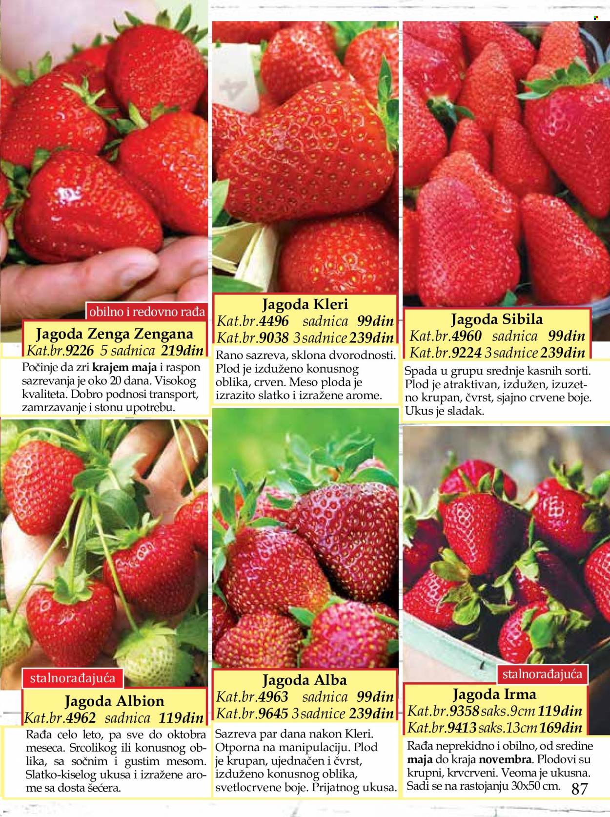 Flora Ekspres katalog. Stranica 87