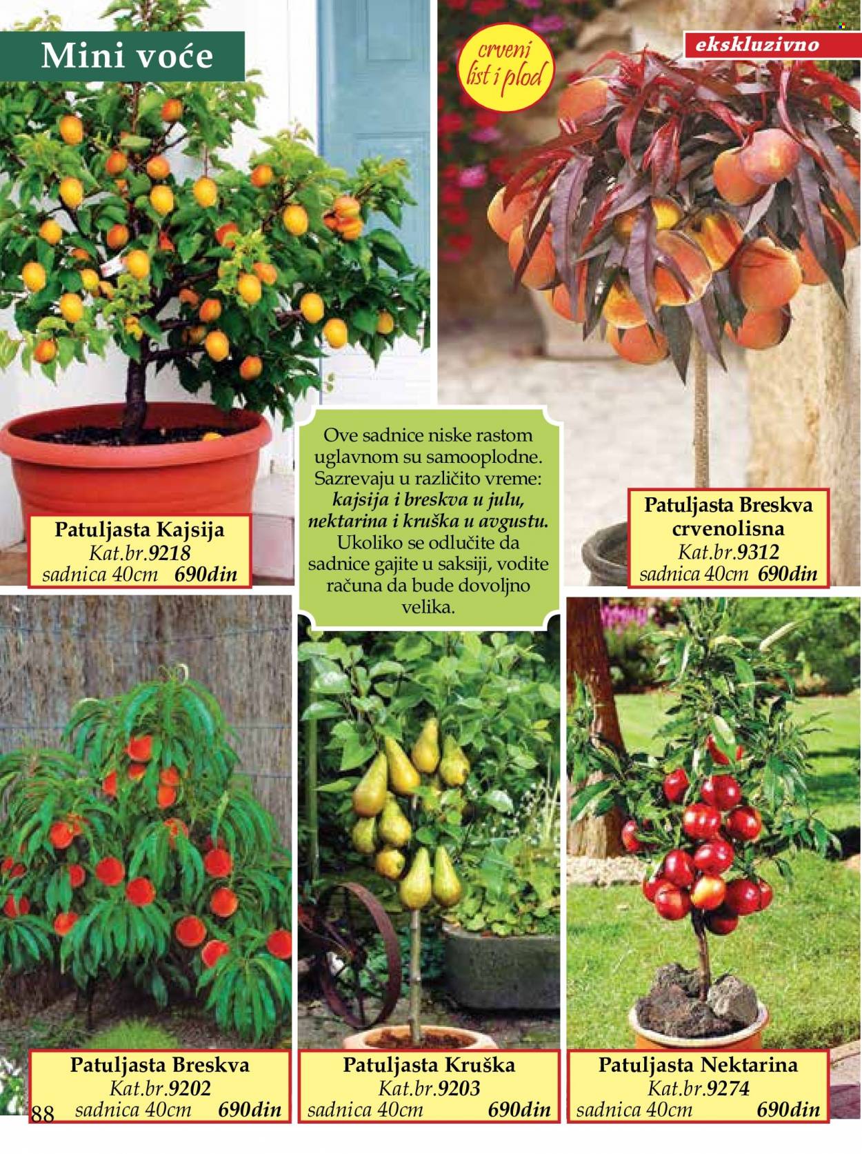 Flora Ekspres katalog. Stranica 88