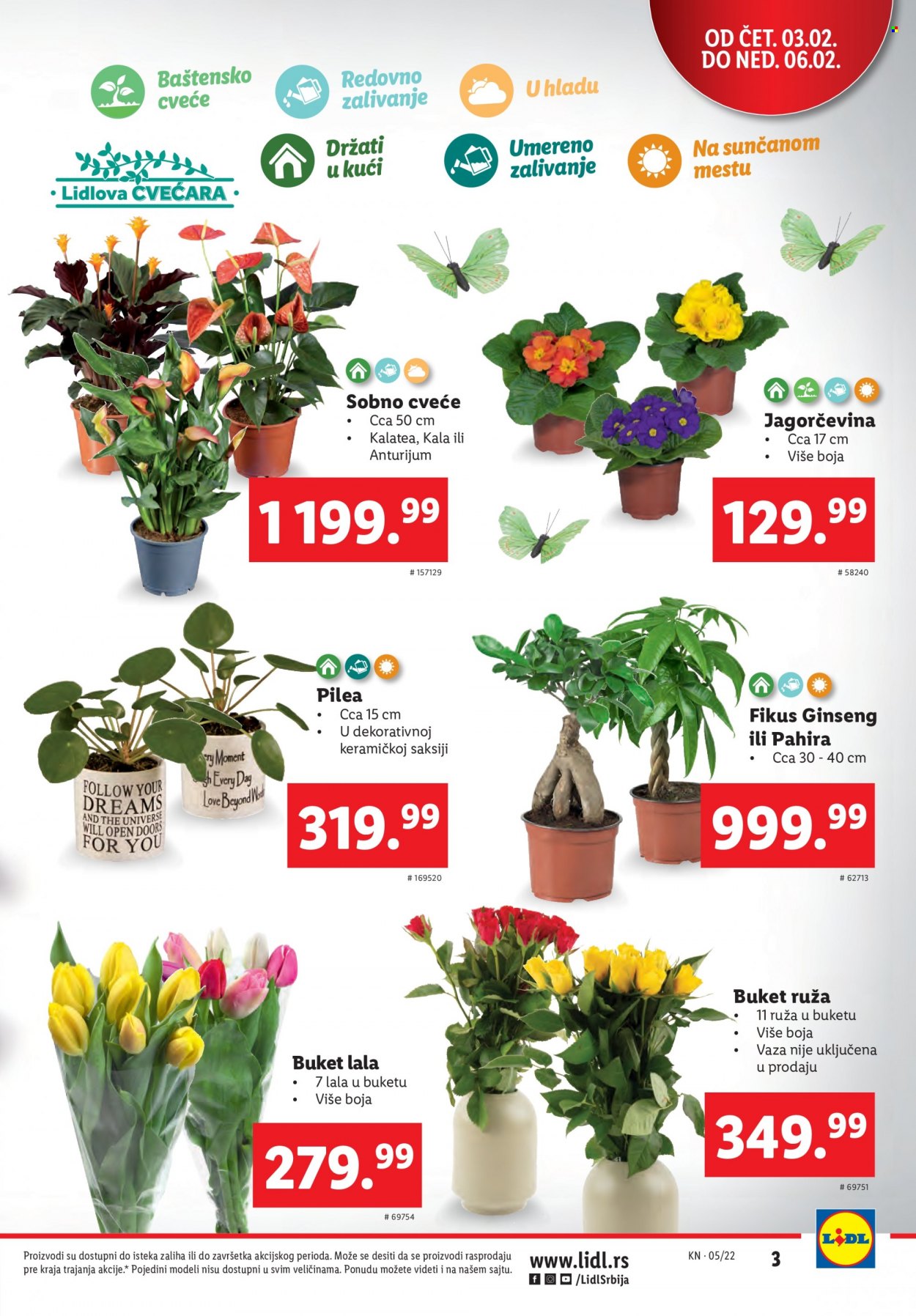 Lidl katalog - 03.02.2022 - 09.02.2022. Stranica 3