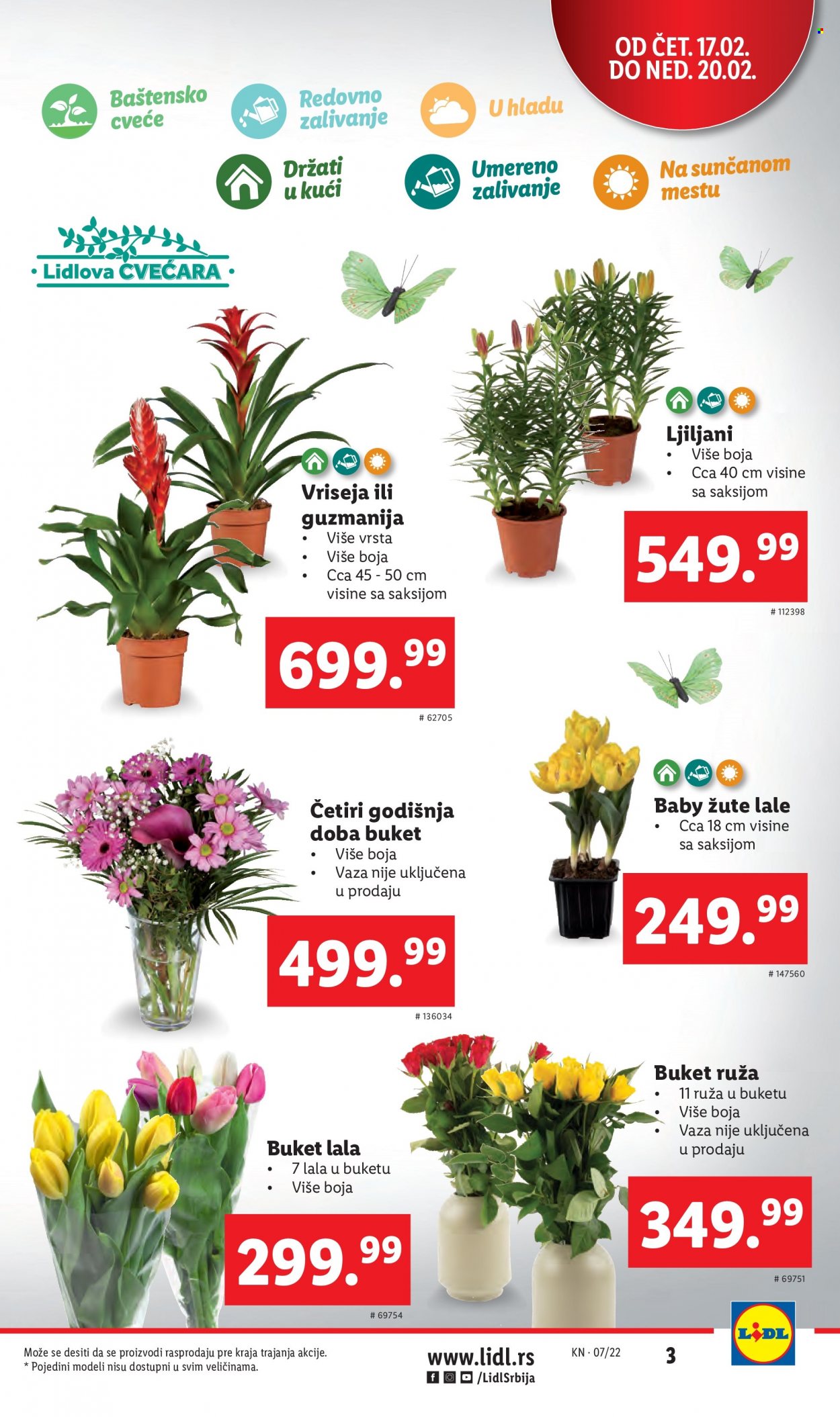 Lidl katalog - 17.02.2022 - 23.02.2022. Stranica 3