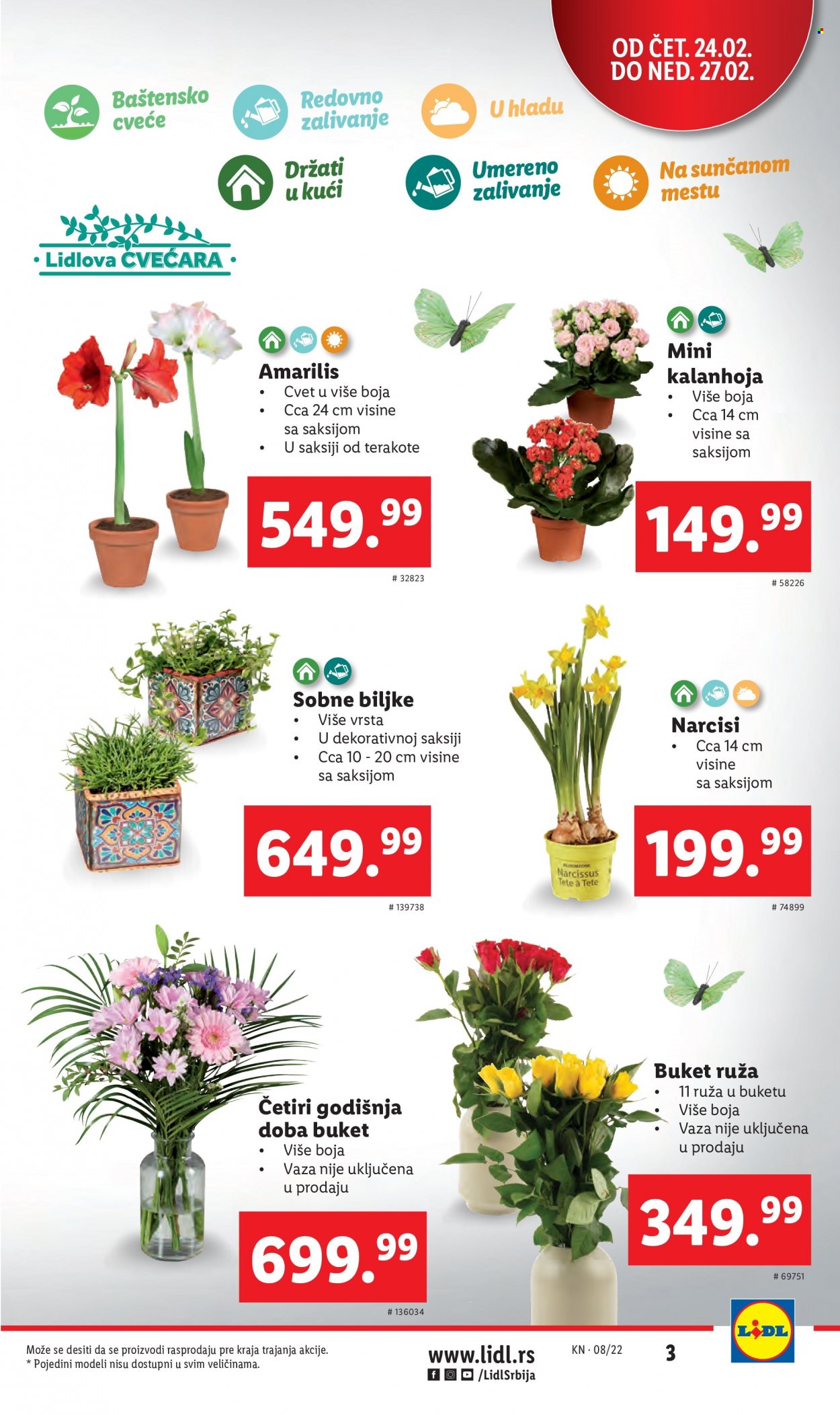 Lidl katalog - 24.02.2022 - 02.03.2022. Stranica 3