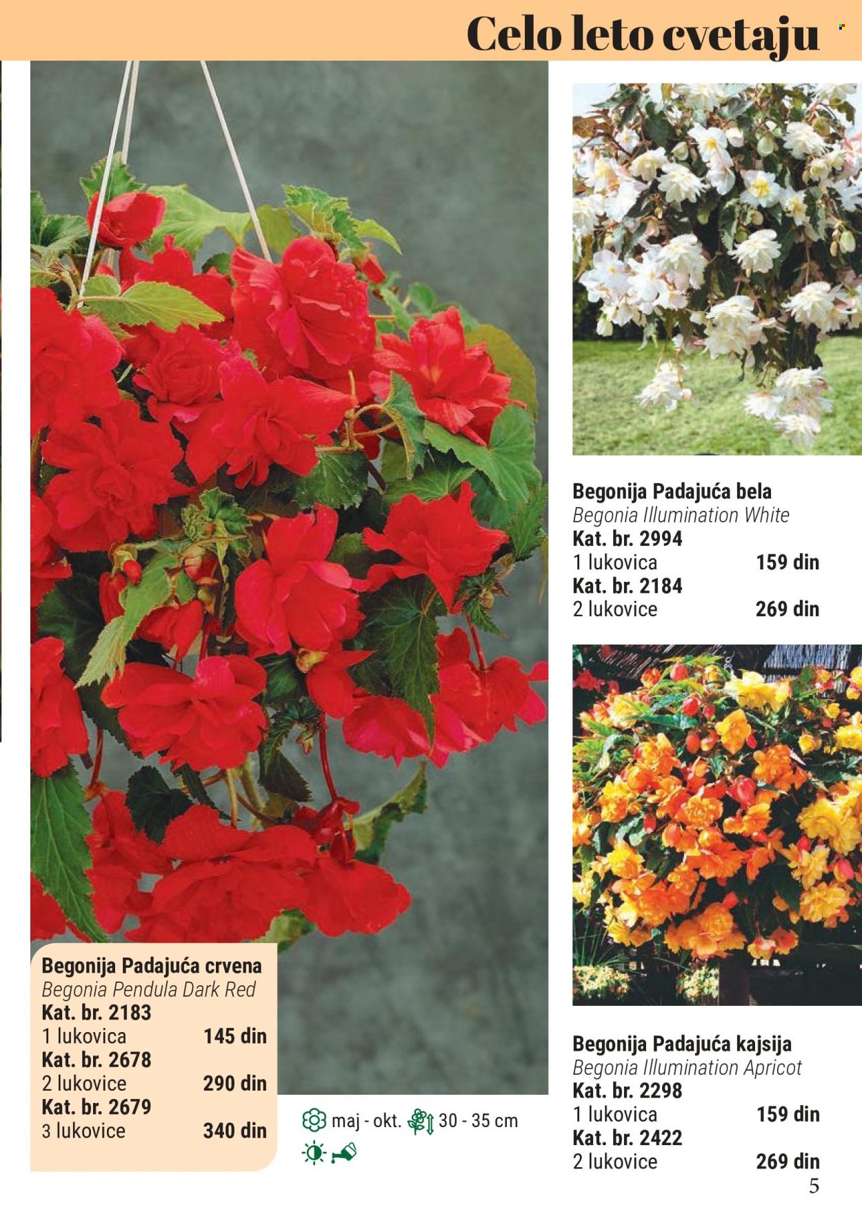 Flora Ekspres katalog. Stranica 5