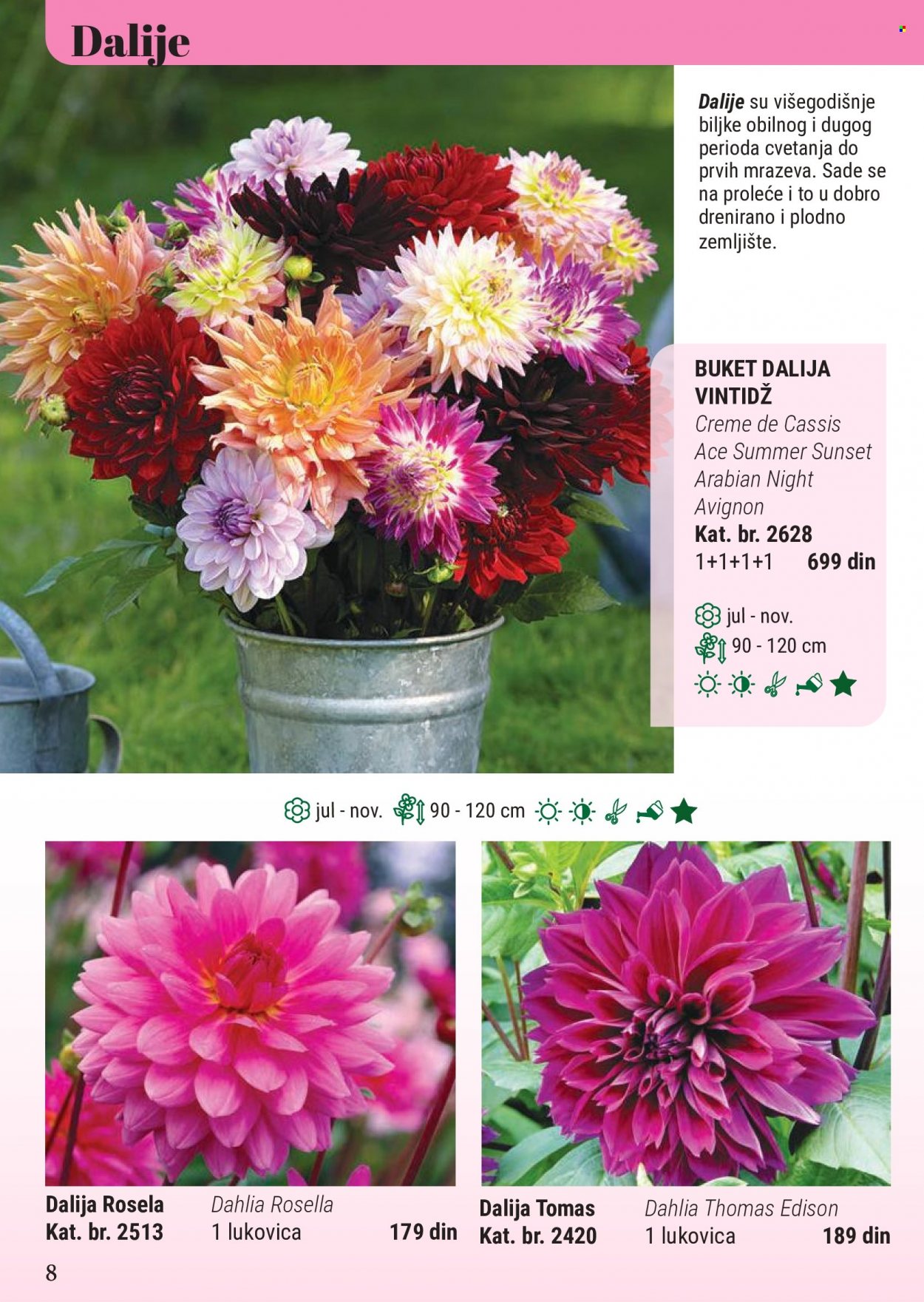 Flora Ekspres katalog. Stranica 8