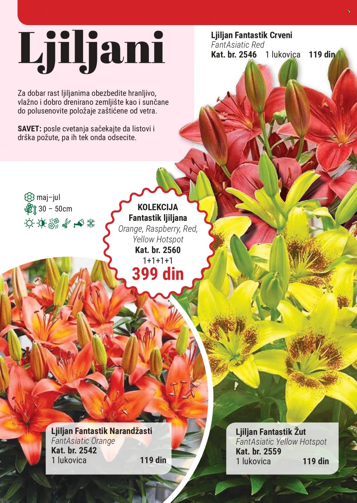 Flora Ekspres katalog. Stranica 18