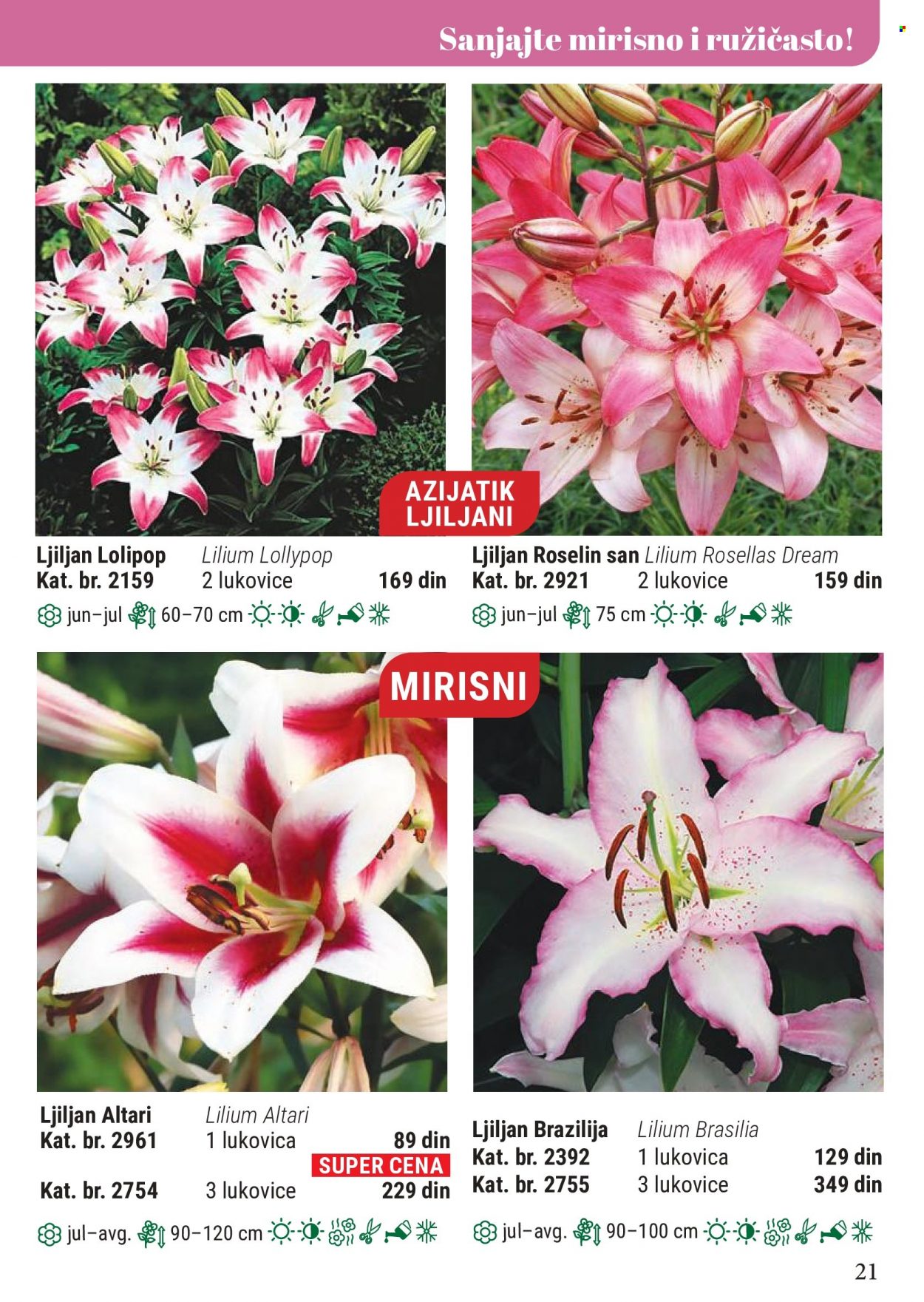 Flora Ekspres katalog. Stranica 21