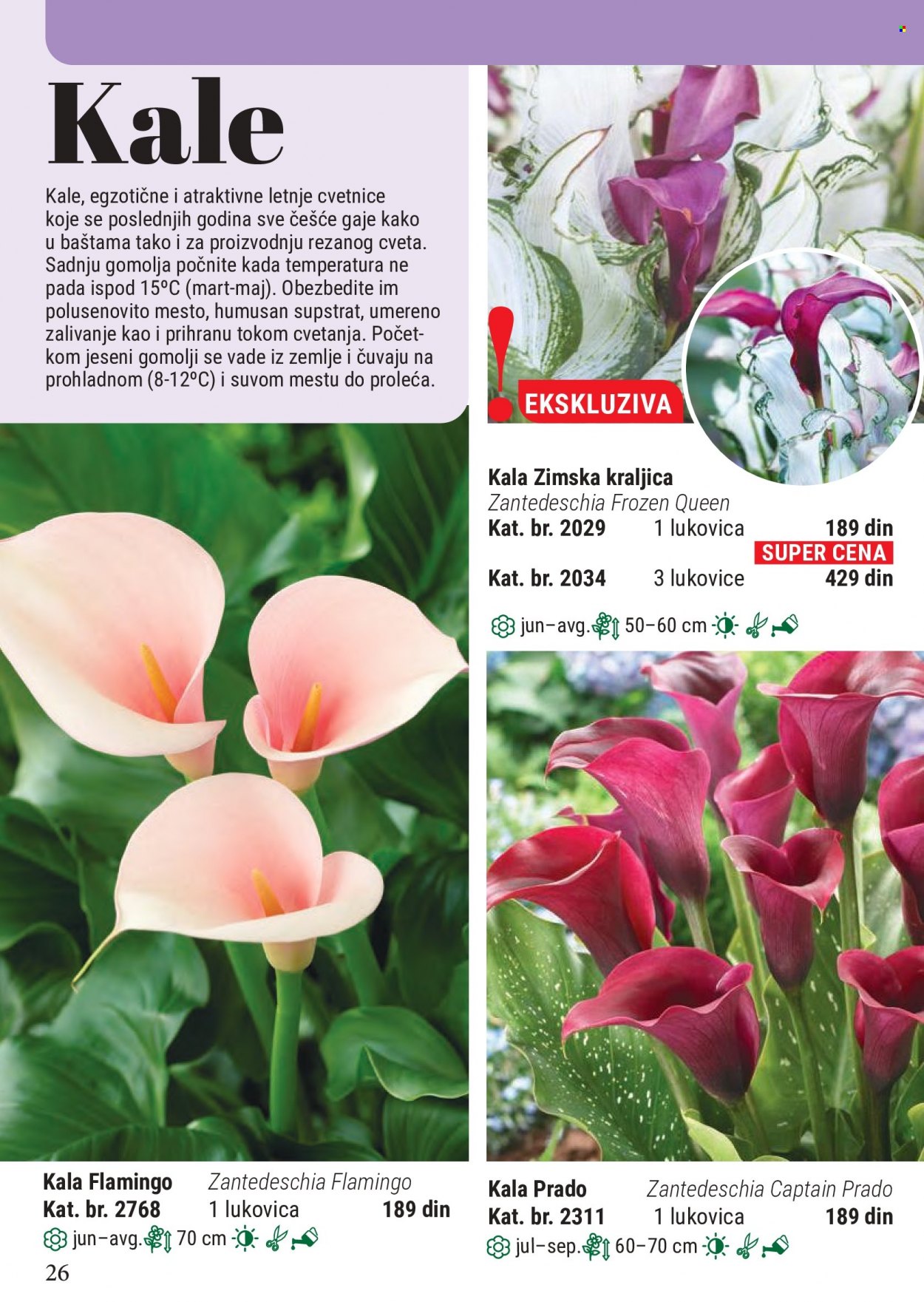 Flora Ekspres katalog. Stranica 26
