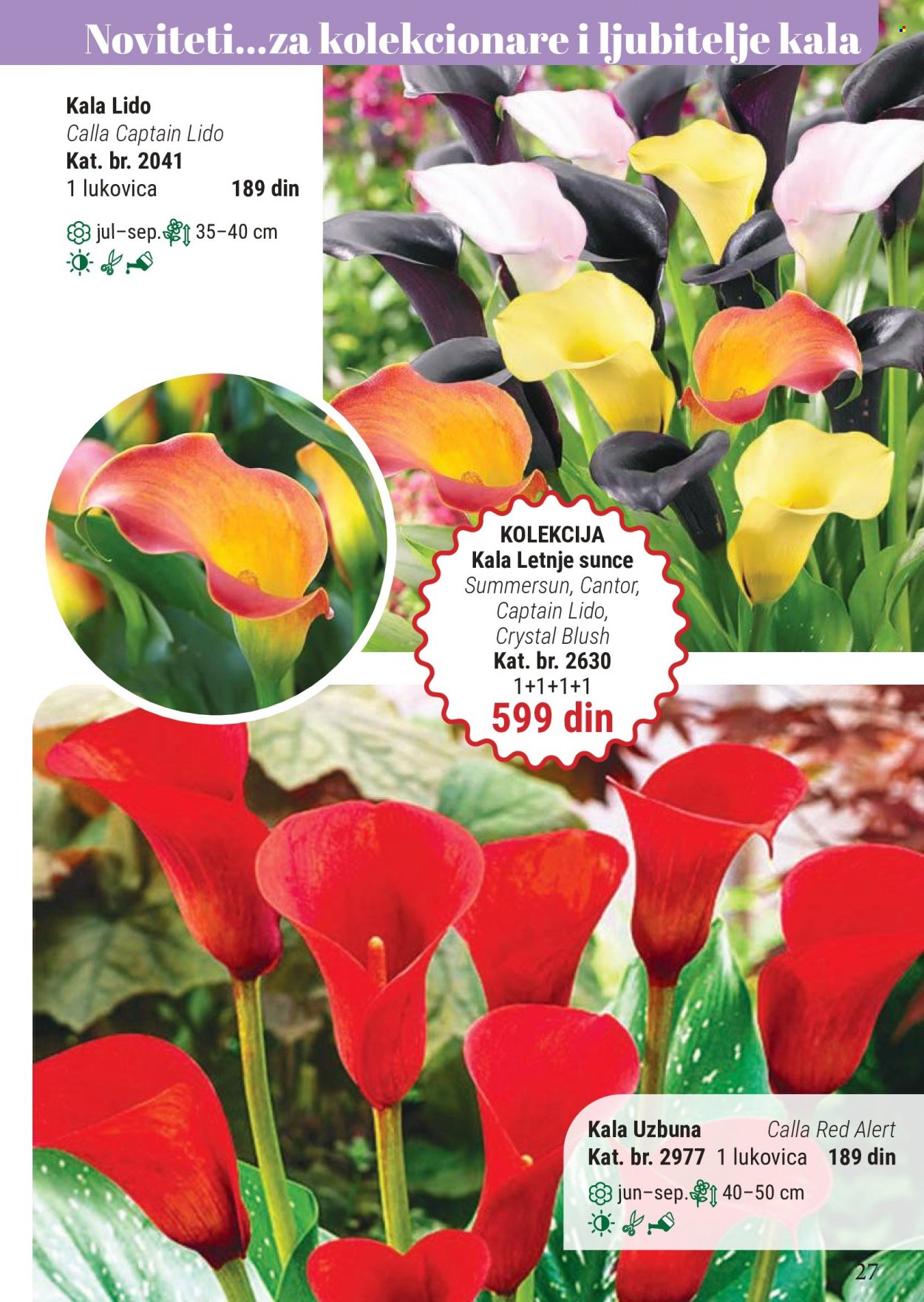 Flora Ekspres katalog. Stranica 27