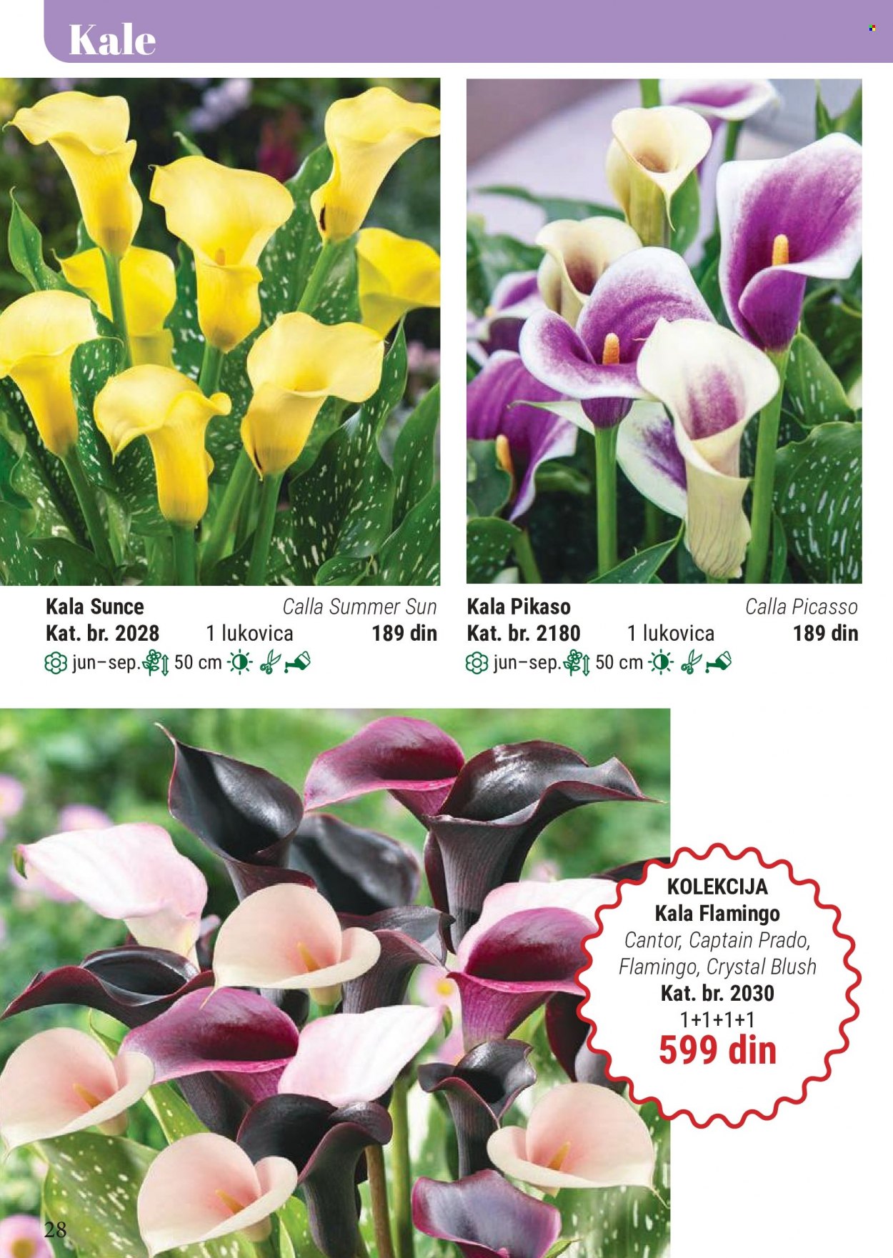 Flora Ekspres katalog. Stranica 28