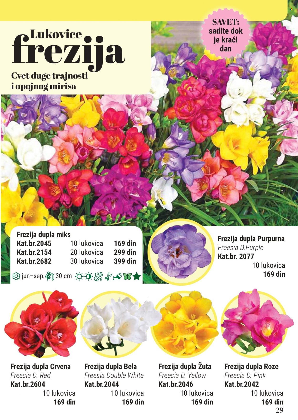 Flora Ekspres katalog. Stranica 29