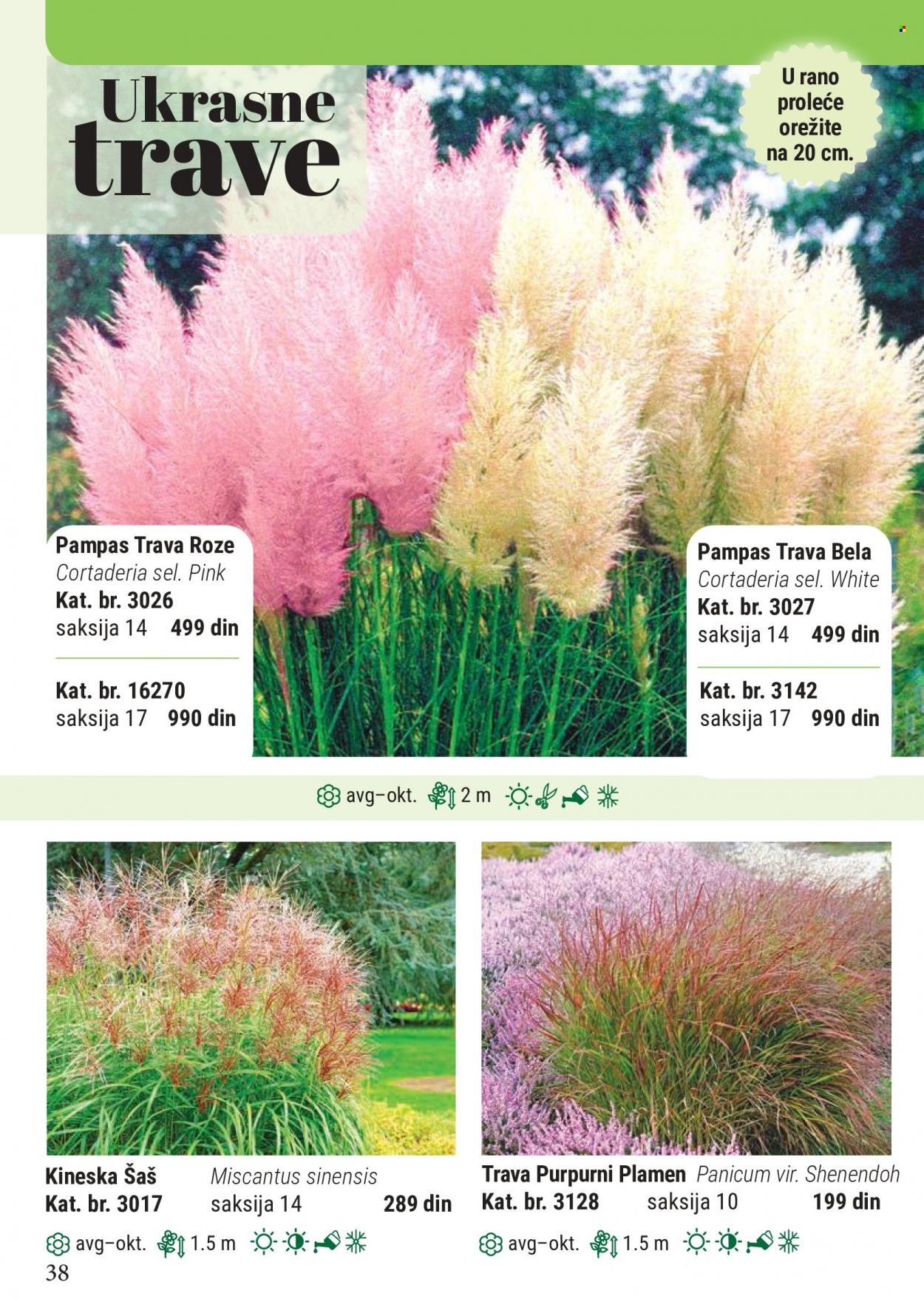 Flora Ekspres katalog. Stranica 38
