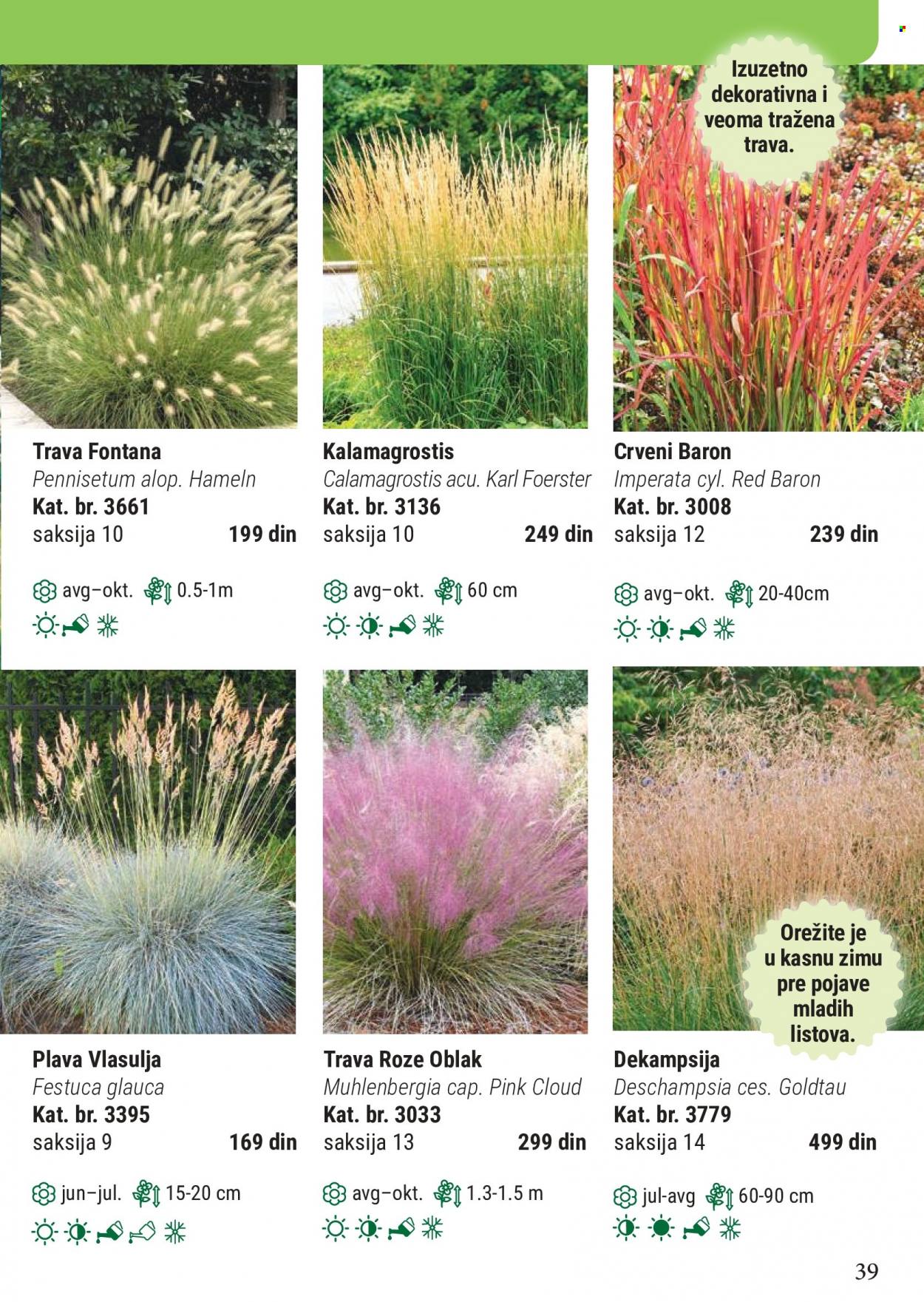 Flora Ekspres katalog. Stranica 39