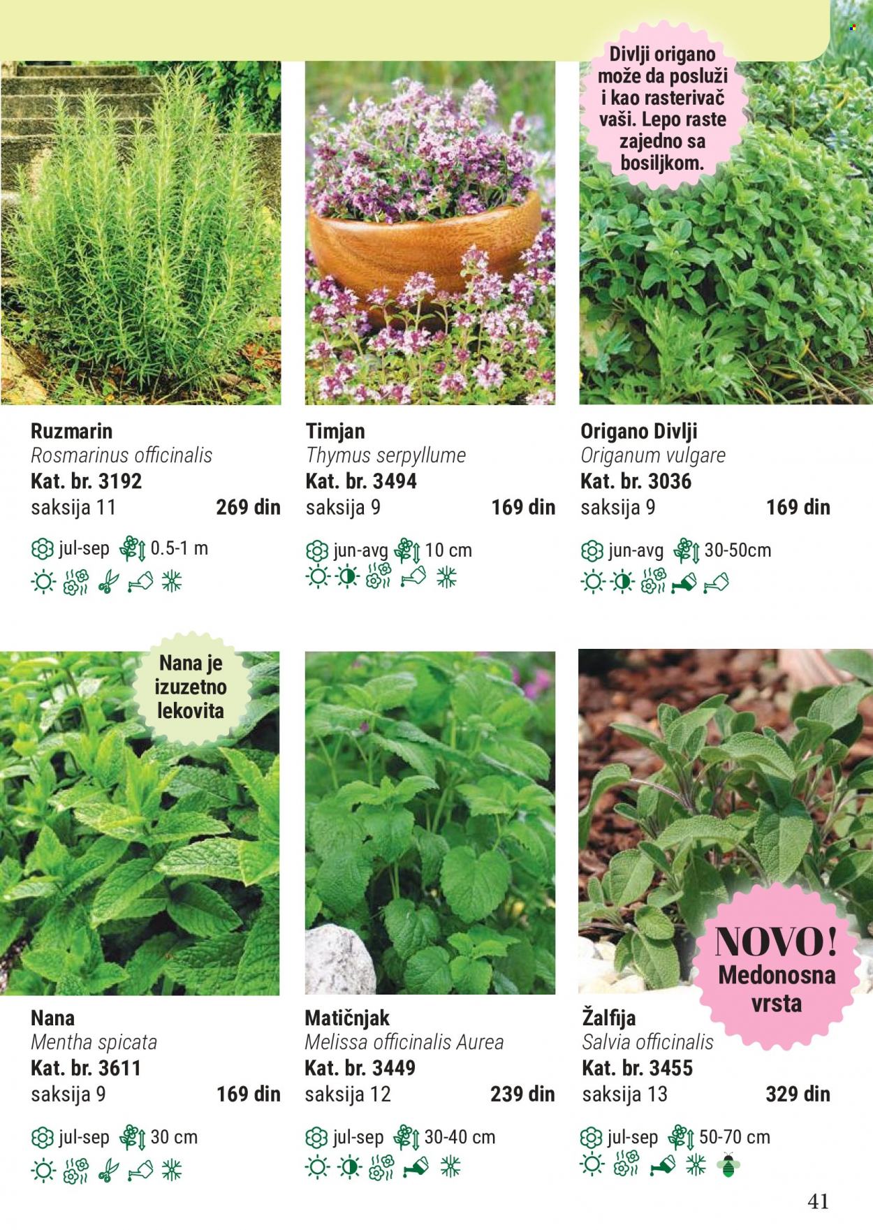 Flora Ekspres katalog. Stranica 41