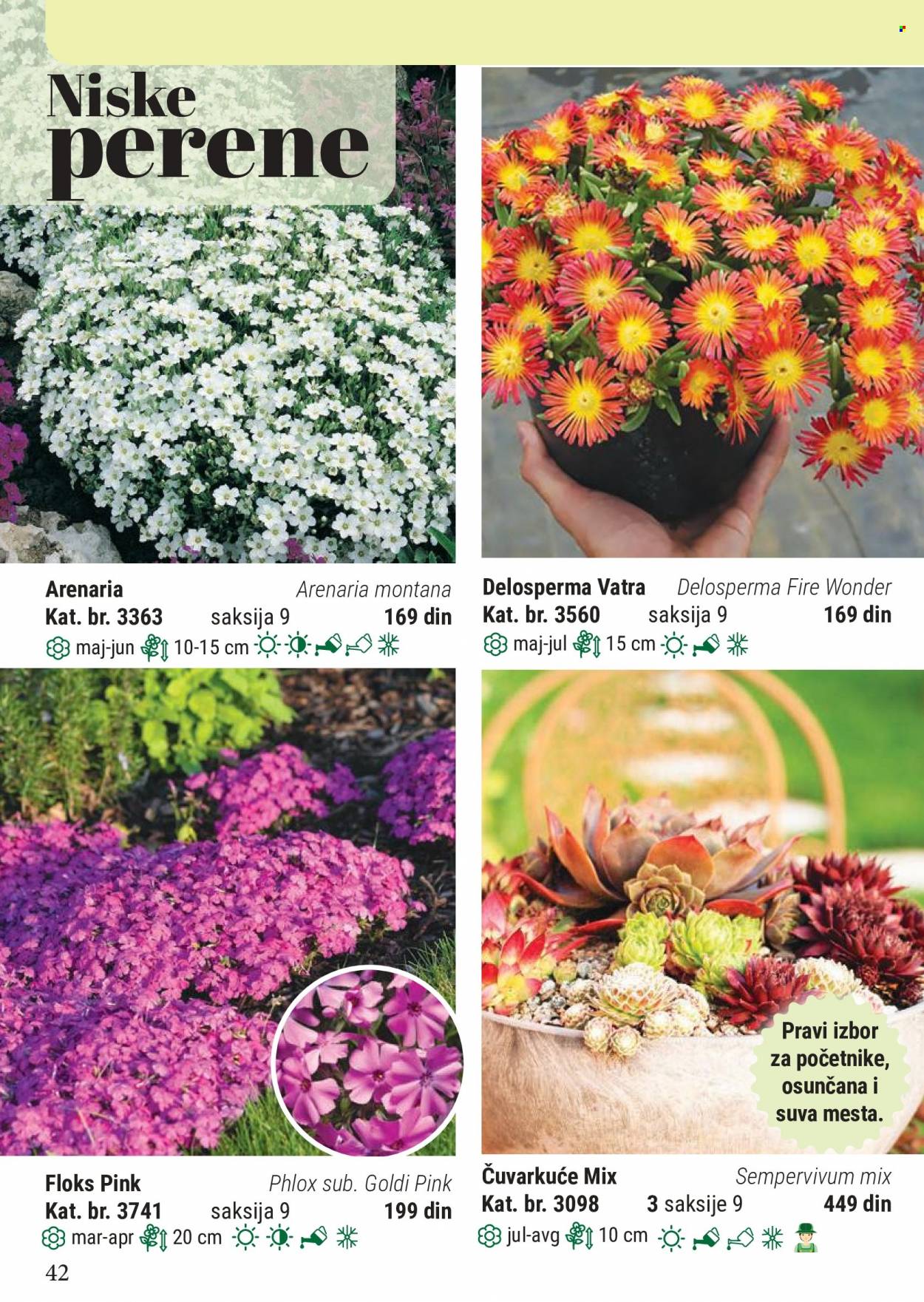 Flora Ekspres katalog. Stranica 42