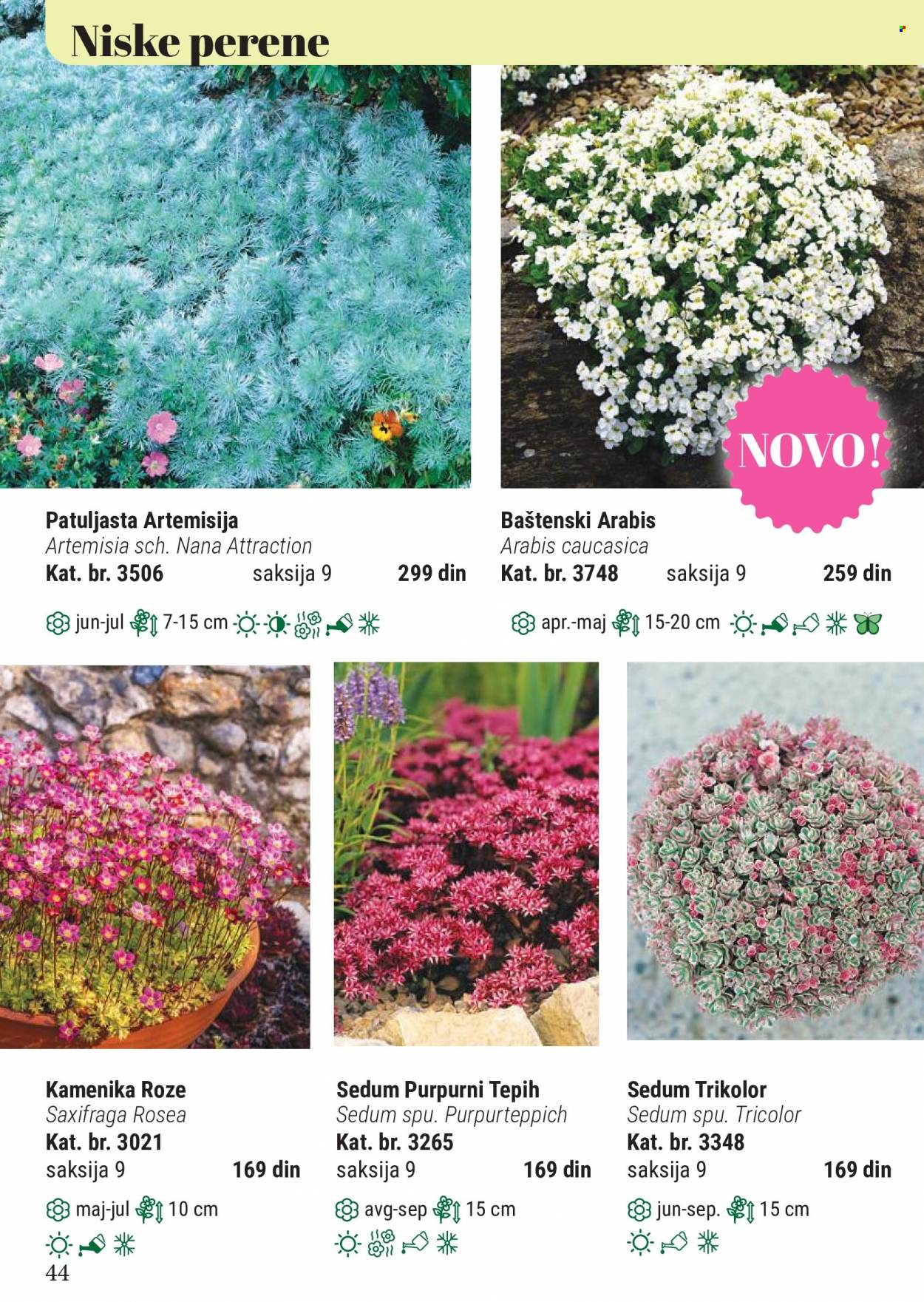 Flora Ekspres katalog. Stranica 44