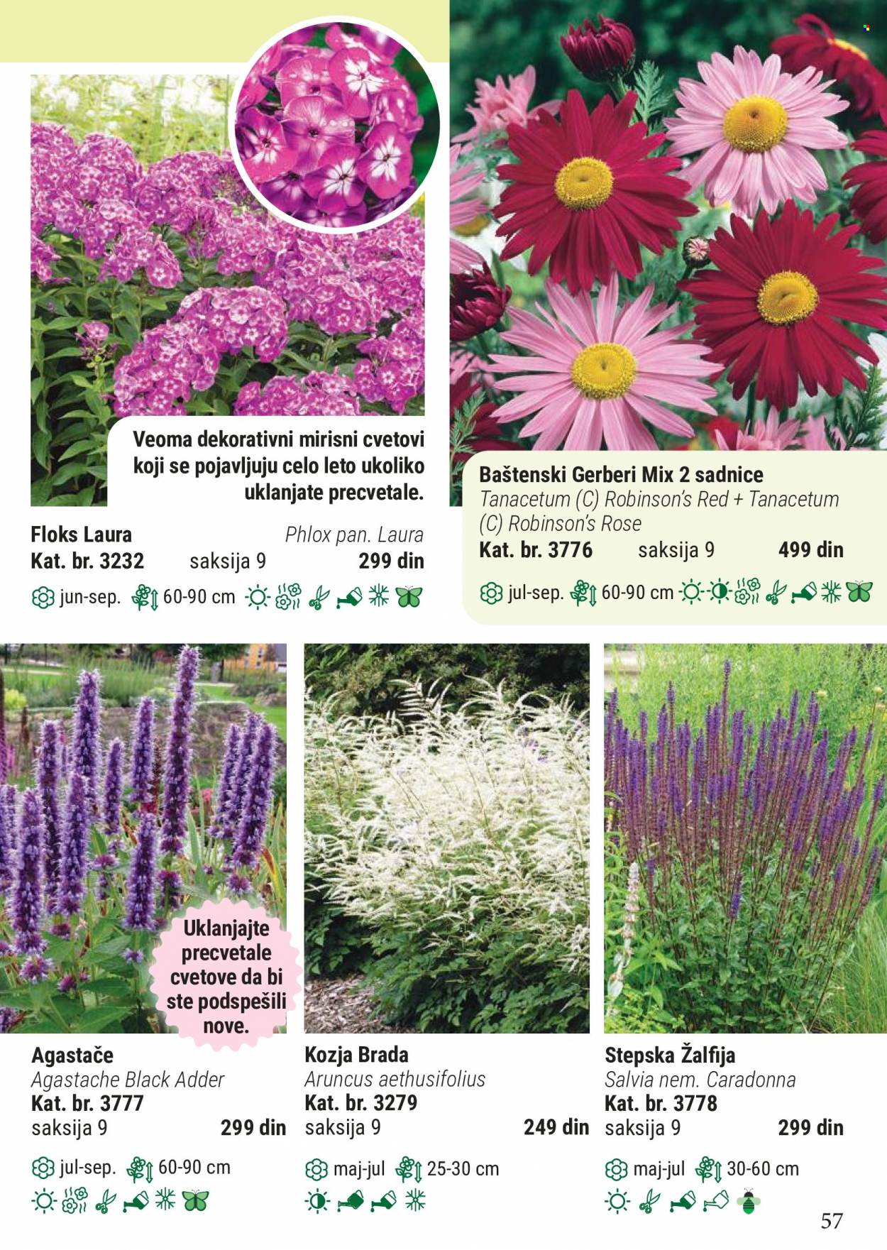Flora Ekspres katalog. Stranica 57