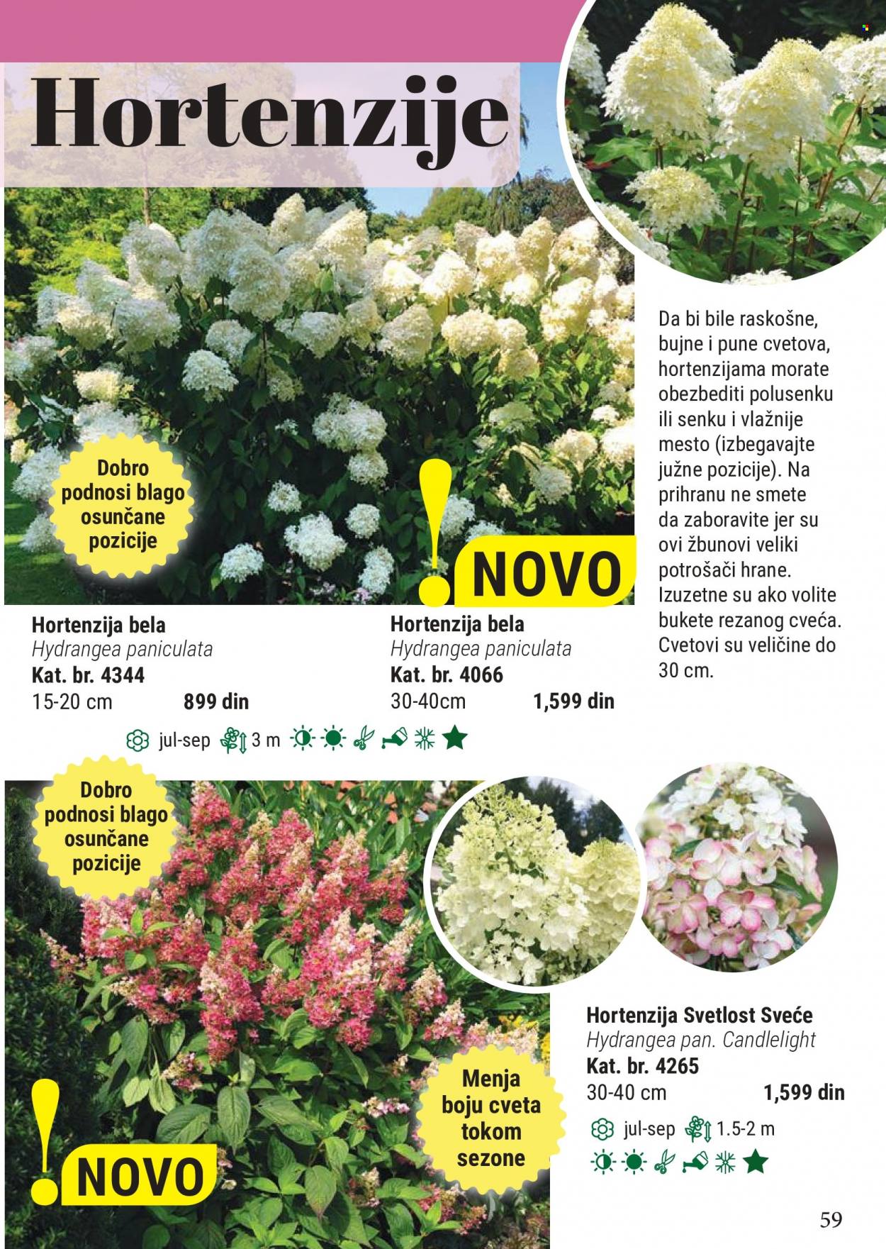 Flora Ekspres katalog. Stranica 59