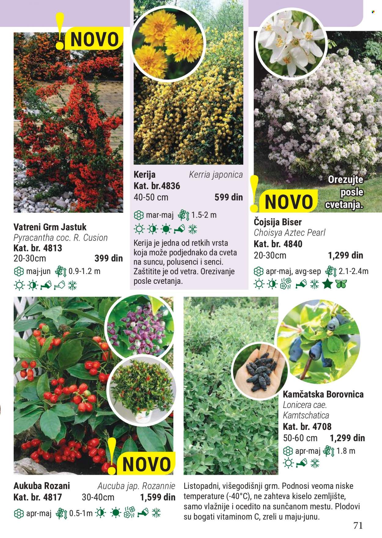 Flora Ekspres katalog. Stranica 71
