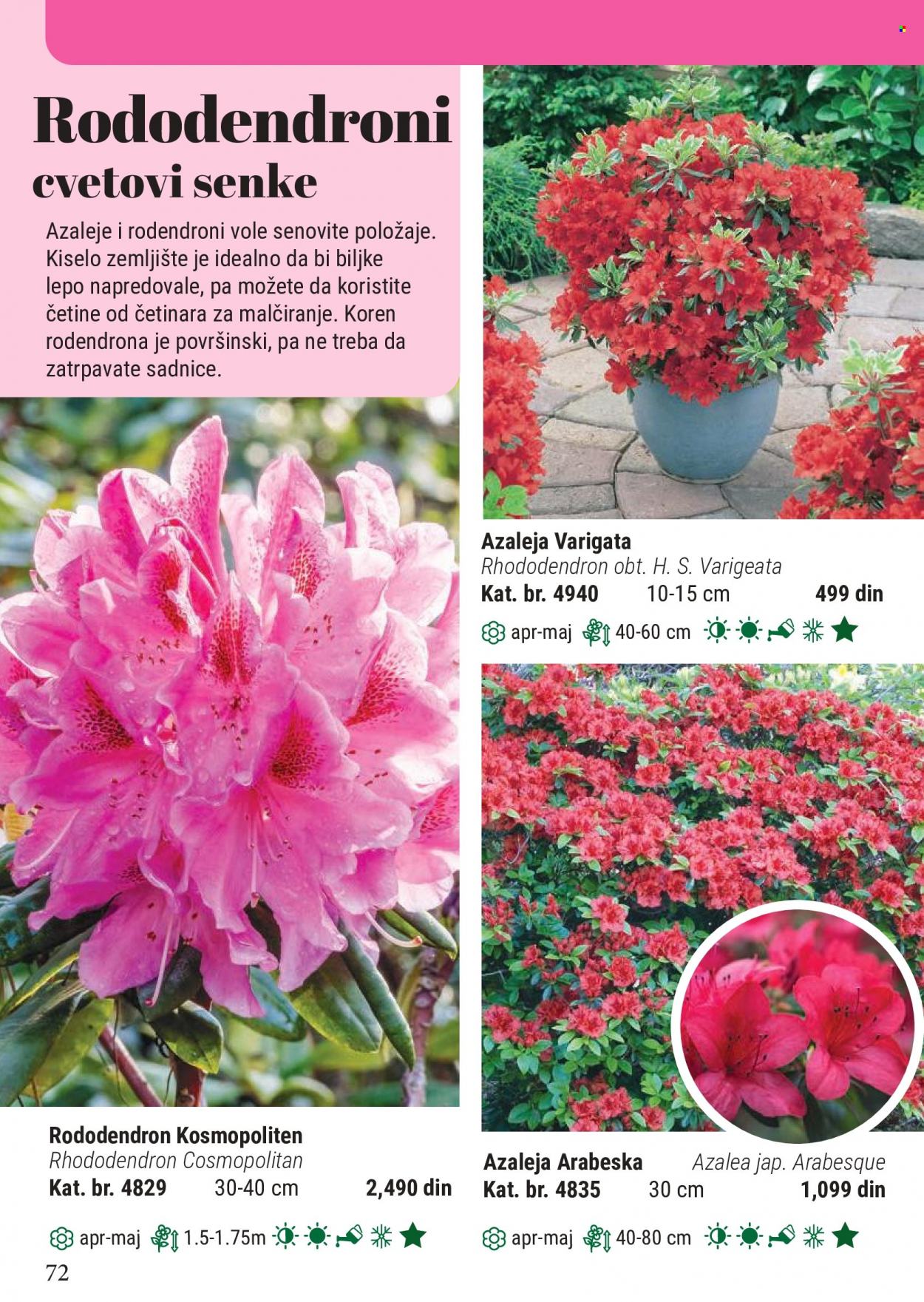 Flora Ekspres katalog. Stranica 72