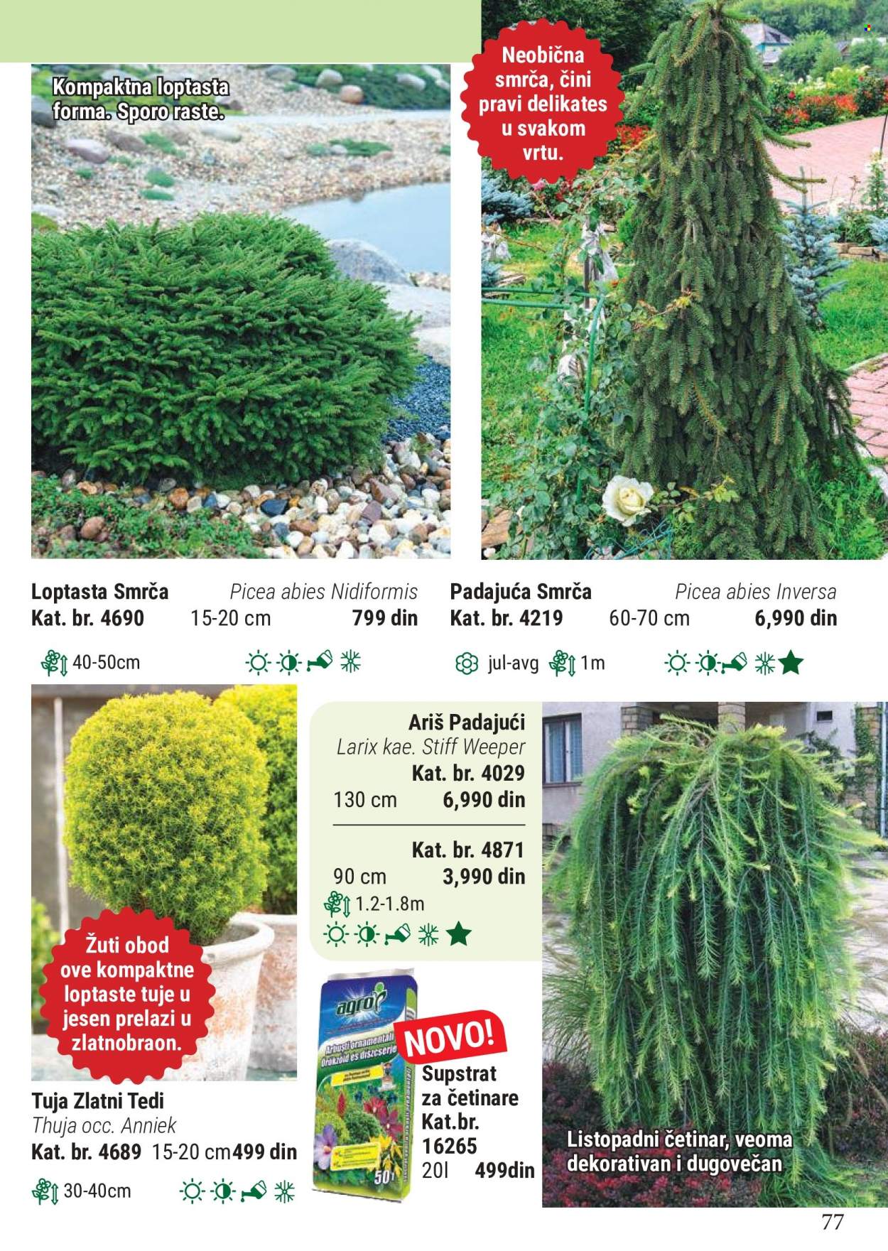 Flora Ekspres katalog. Stranica 77