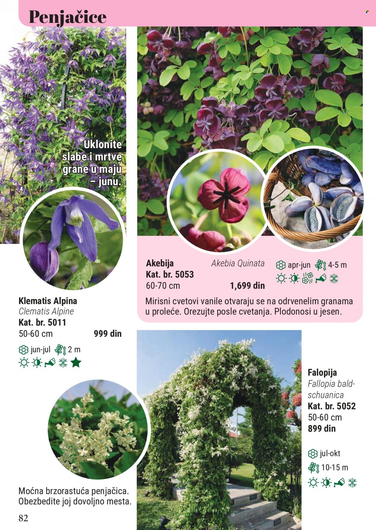 Flora Ekspres katalog. Stranica 82