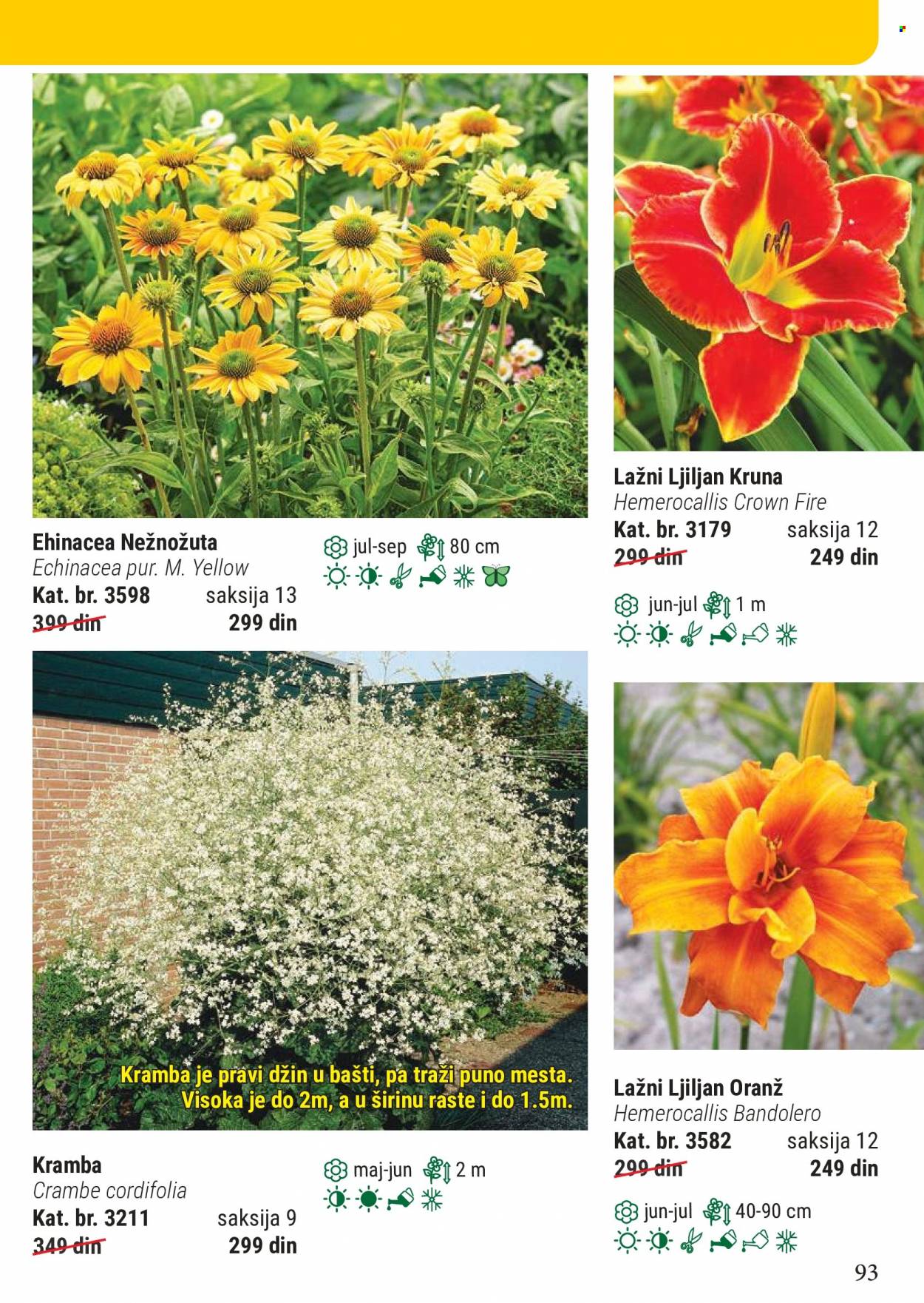 Flora Ekspres katalog. Stranica 93