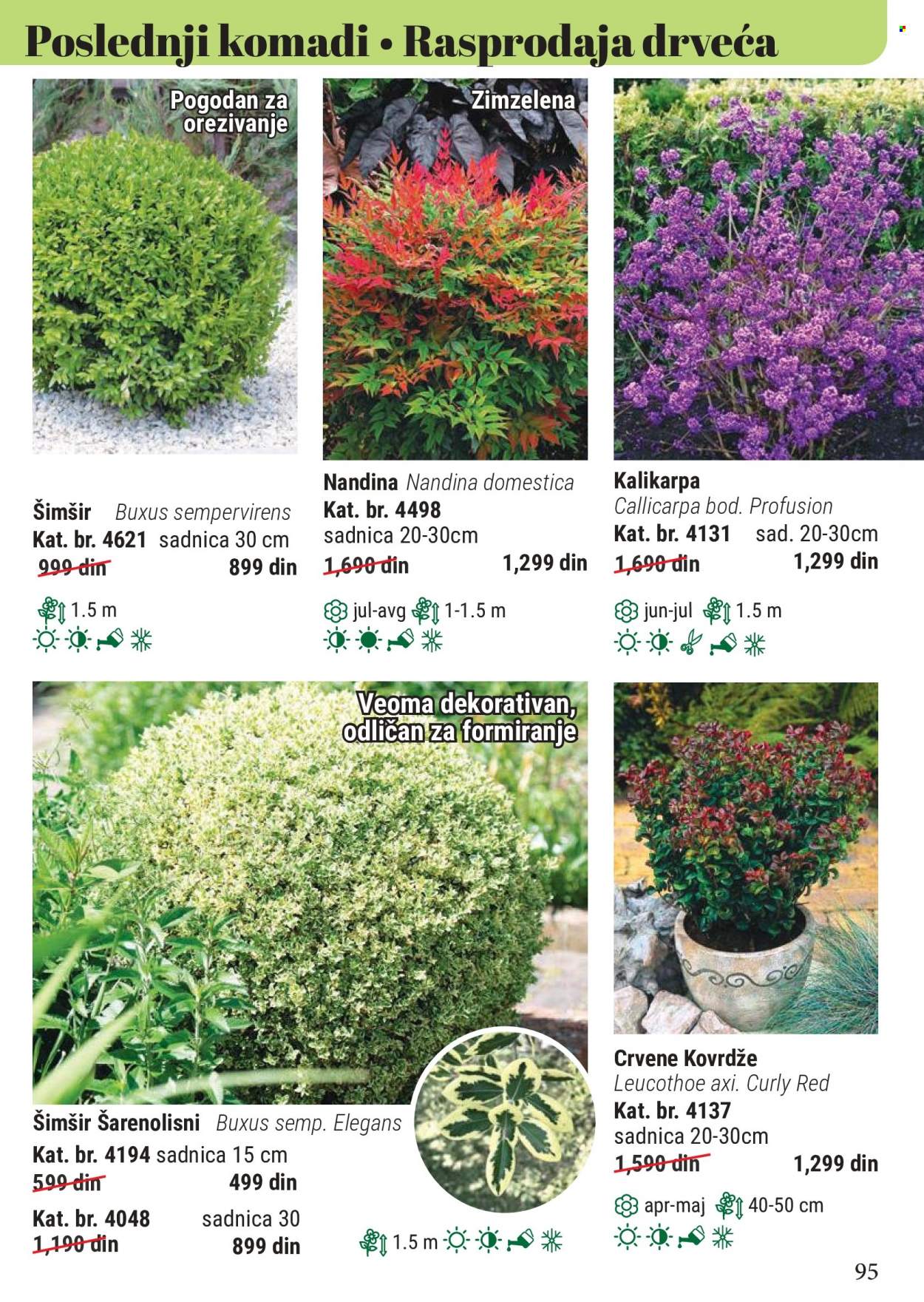 Flora Ekspres katalog. Stranica 95