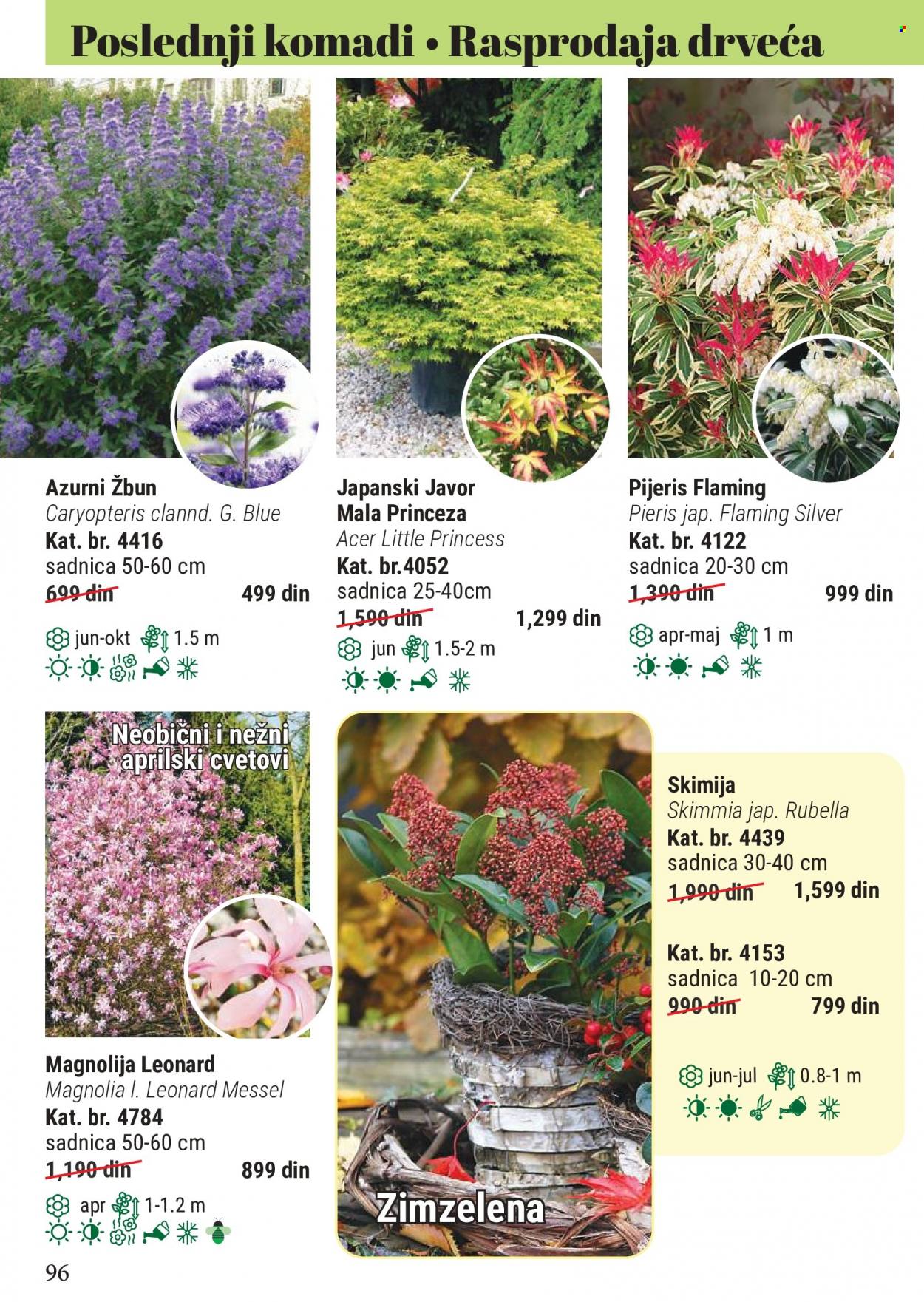 Flora Ekspres katalog. Stranica 96