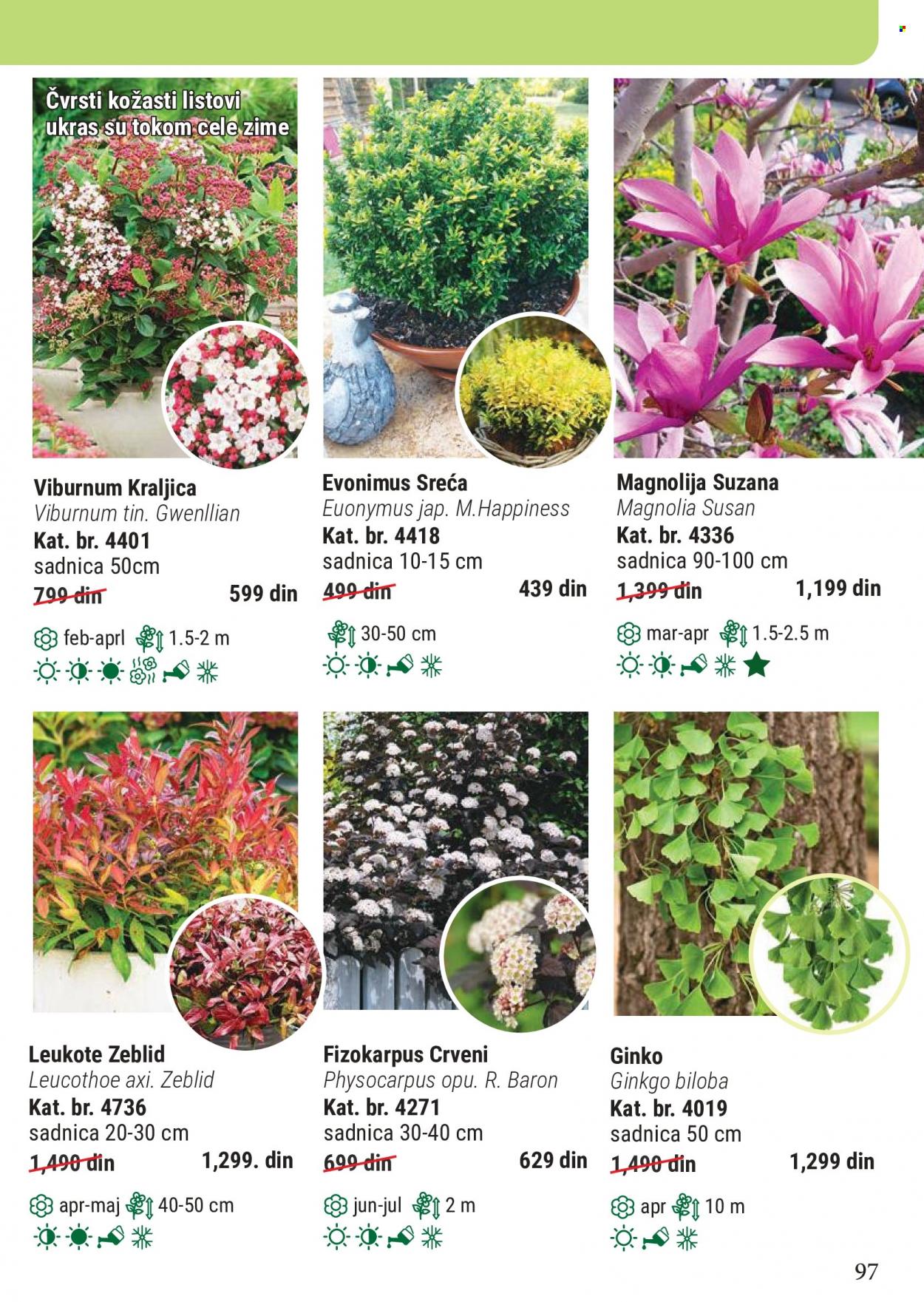 Flora Ekspres katalog. Stranica 97