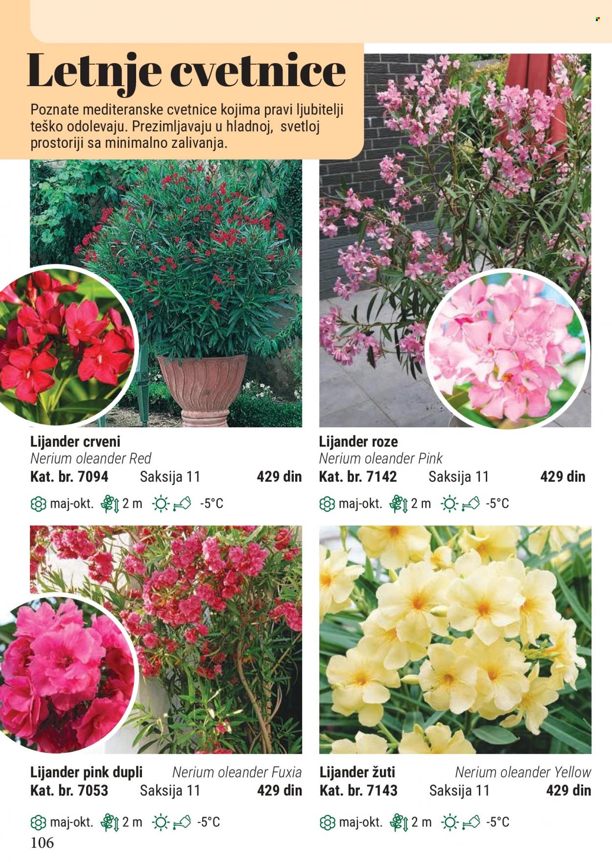 Flora Ekspres katalog. Stranica 106
