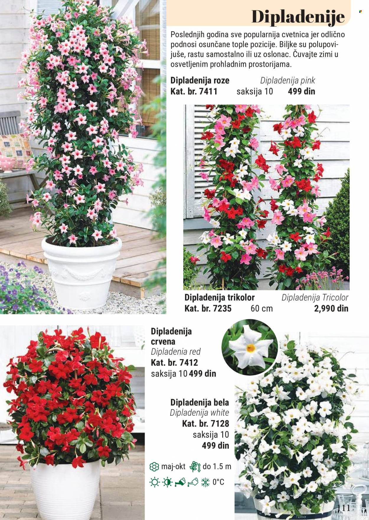 Flora Ekspres katalog. Stranica 111